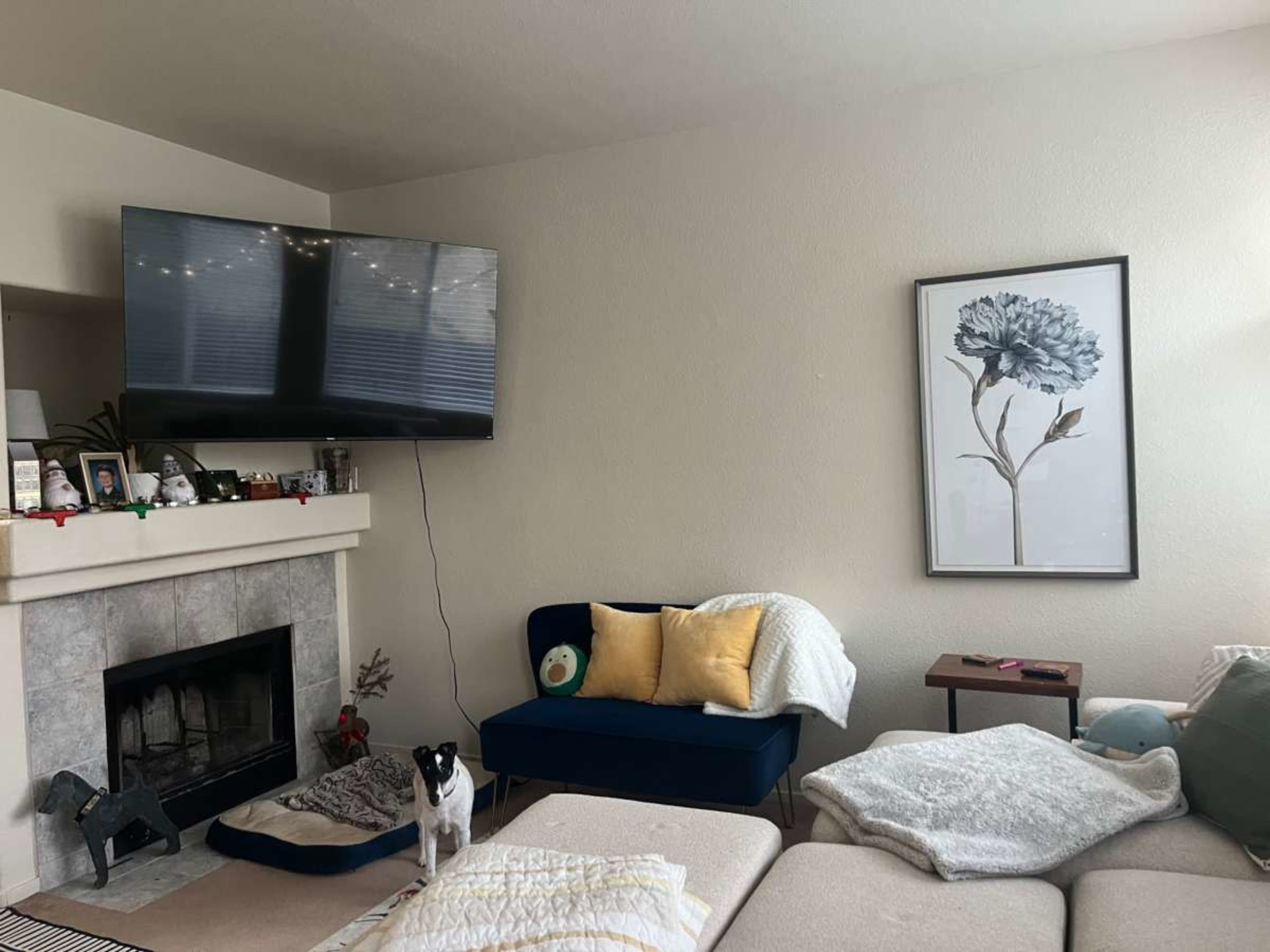 Quiet suburban sanctuary close to lightrail Image in Oak Villas, Folsom, CA