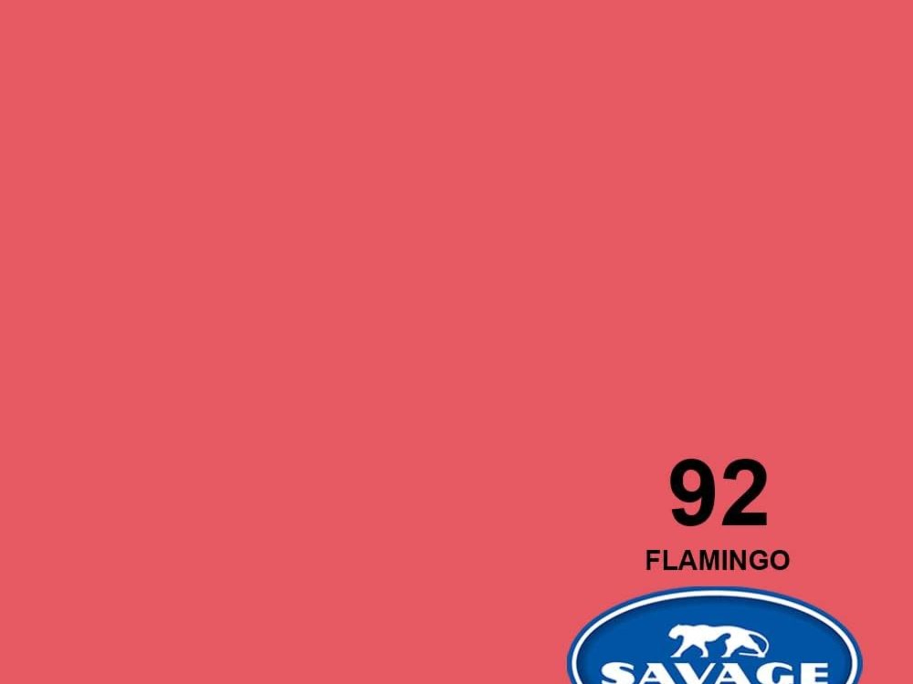 Flamingo 92  Seamless backdrop one pull