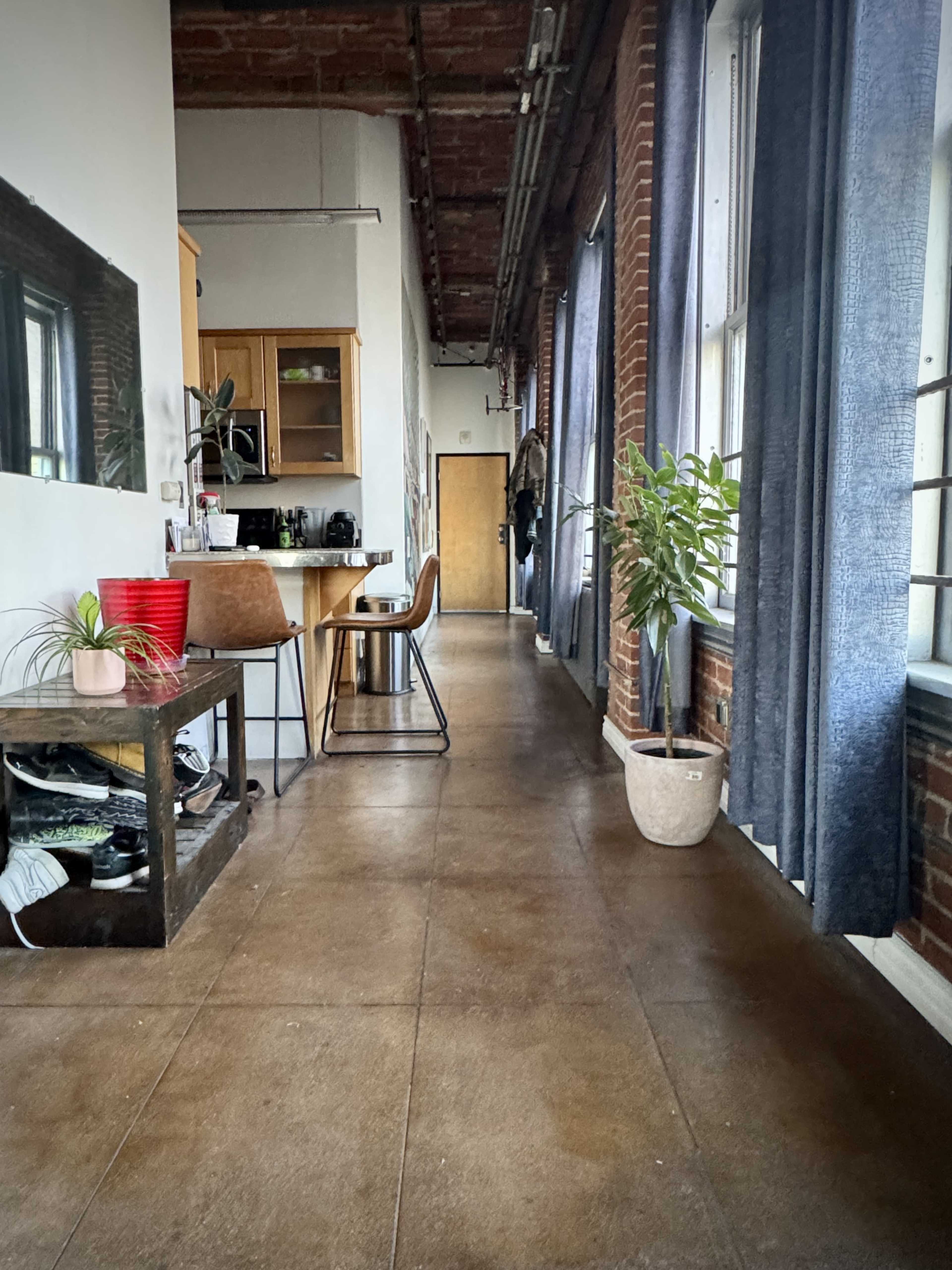 The image shows a hallway in a brick-walled apartment with a kitchen at one end and potted plants along the floor.