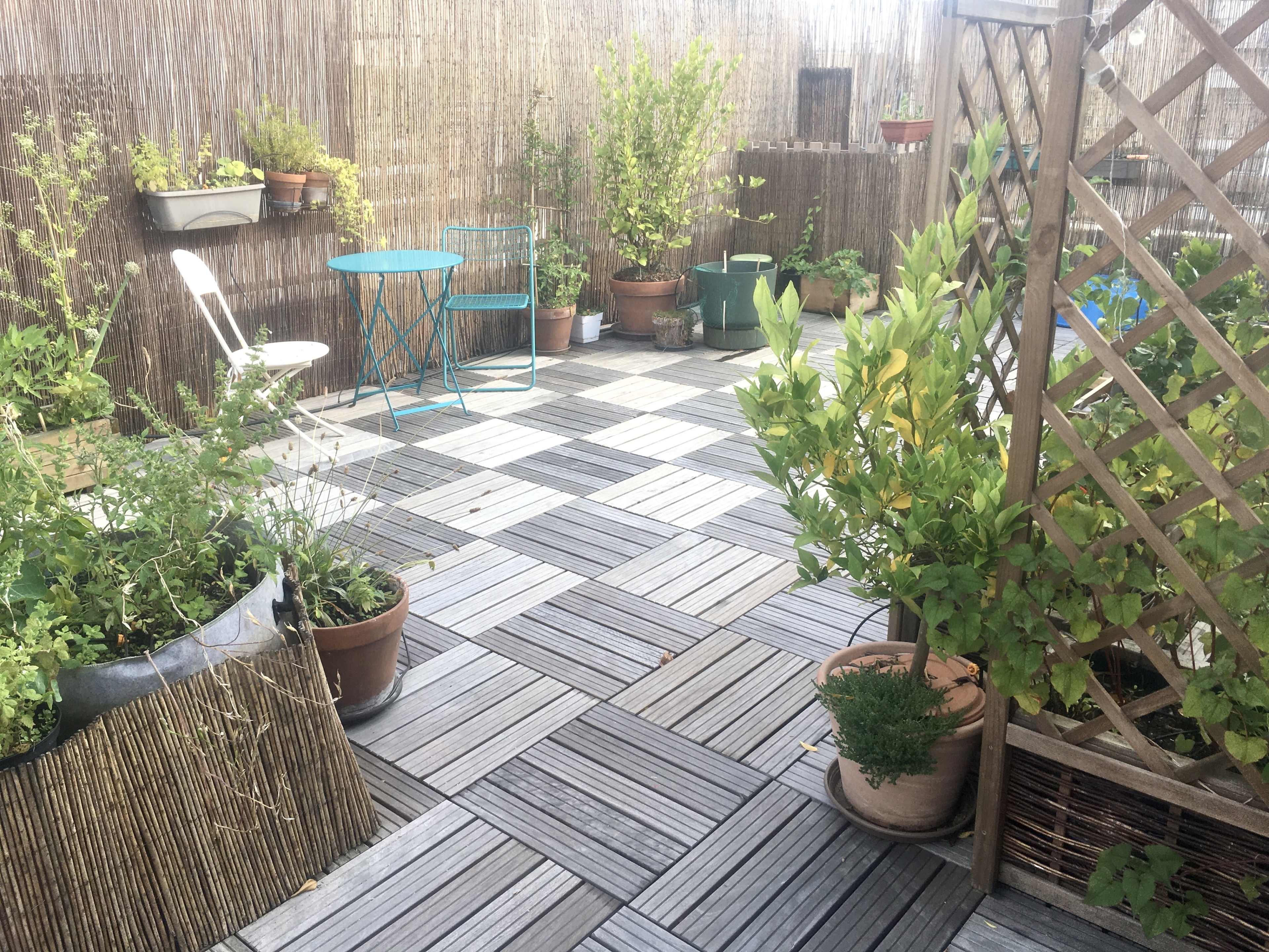 A patio area features potted plants, a small blue table and chair, and a wooden trellis surrounded by bamboo fencing.