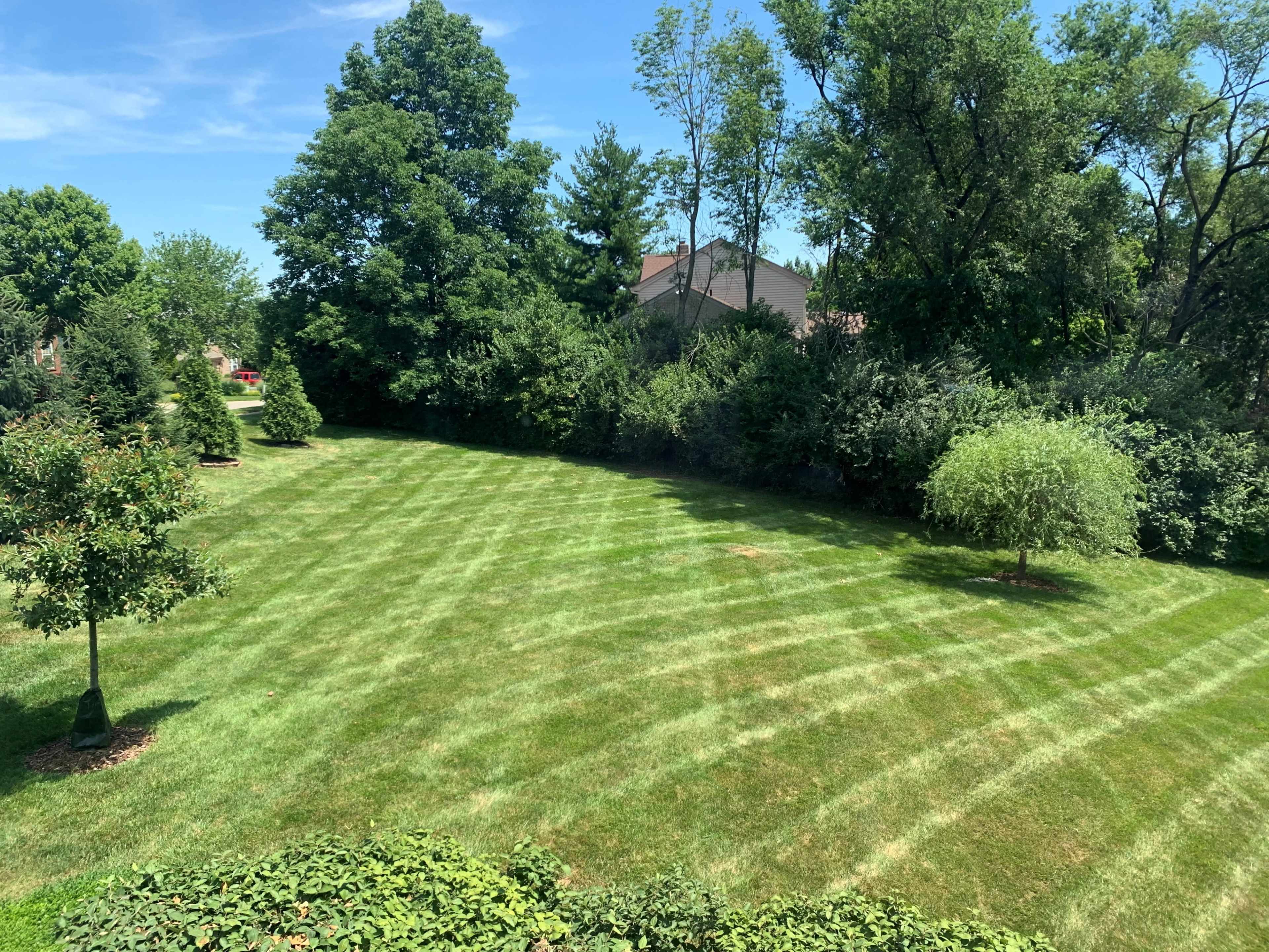 A well-maintained lawn features striped grass patterns bordered by trees and shrubs under a clear blue sky.