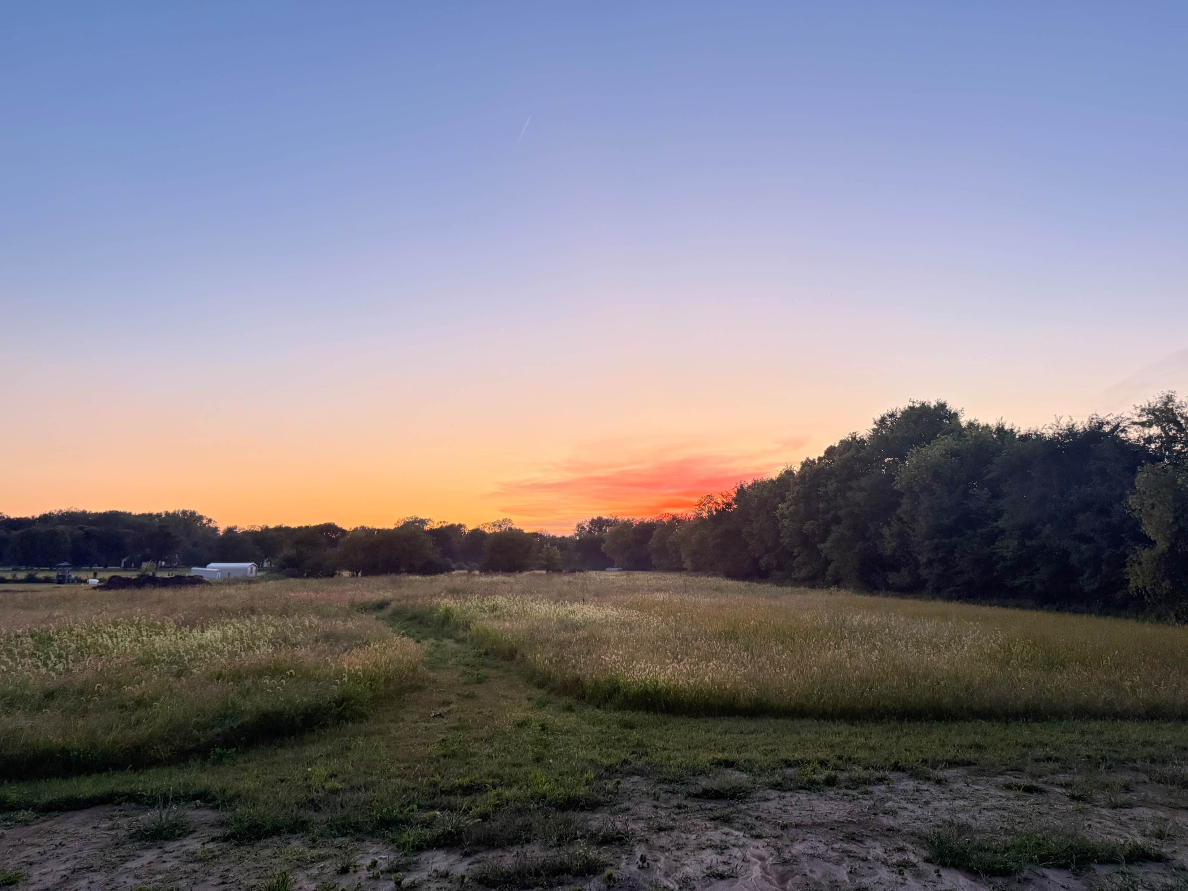 The image depicts a serene landscape at sunset, featuring a grassy field with a tree line in the background.