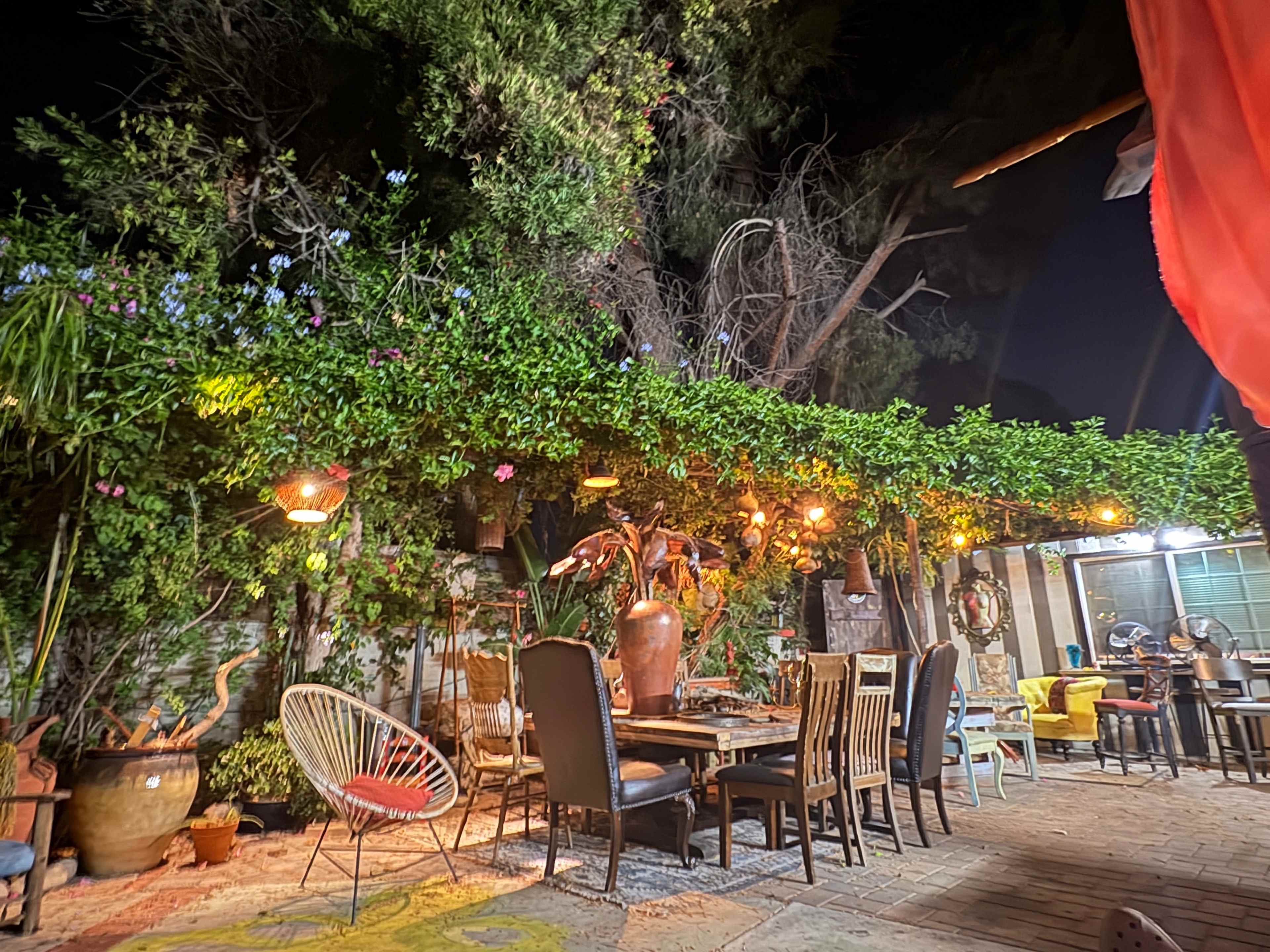 The scene features an outdoor dining area adorned with string lights and surrounded by lush greenery, including potted plants and trees.