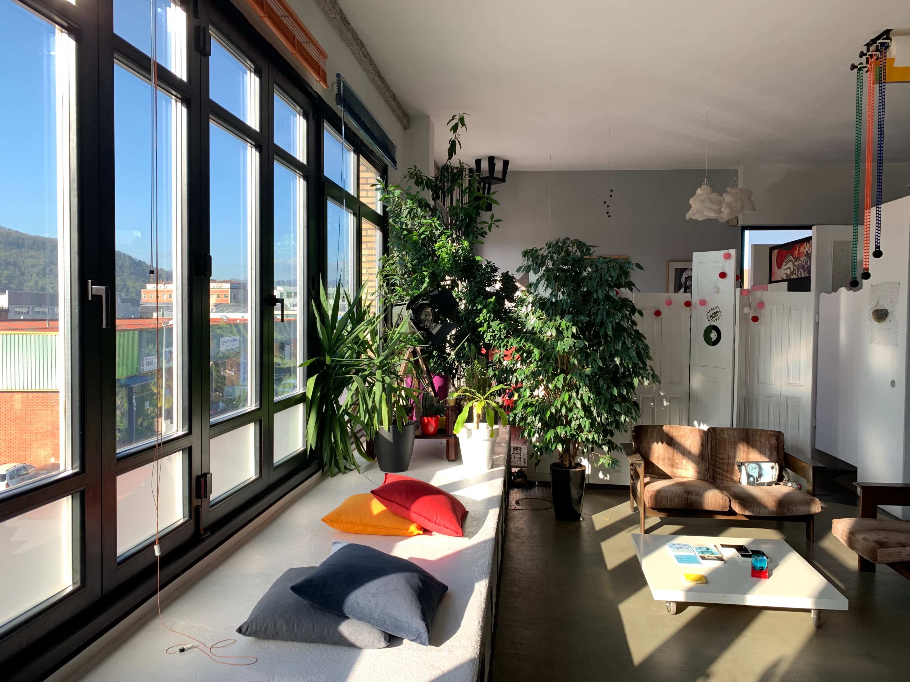 A bright, spacious room with large windows, featuring a seating area with colorful cushions and various indoor plants.