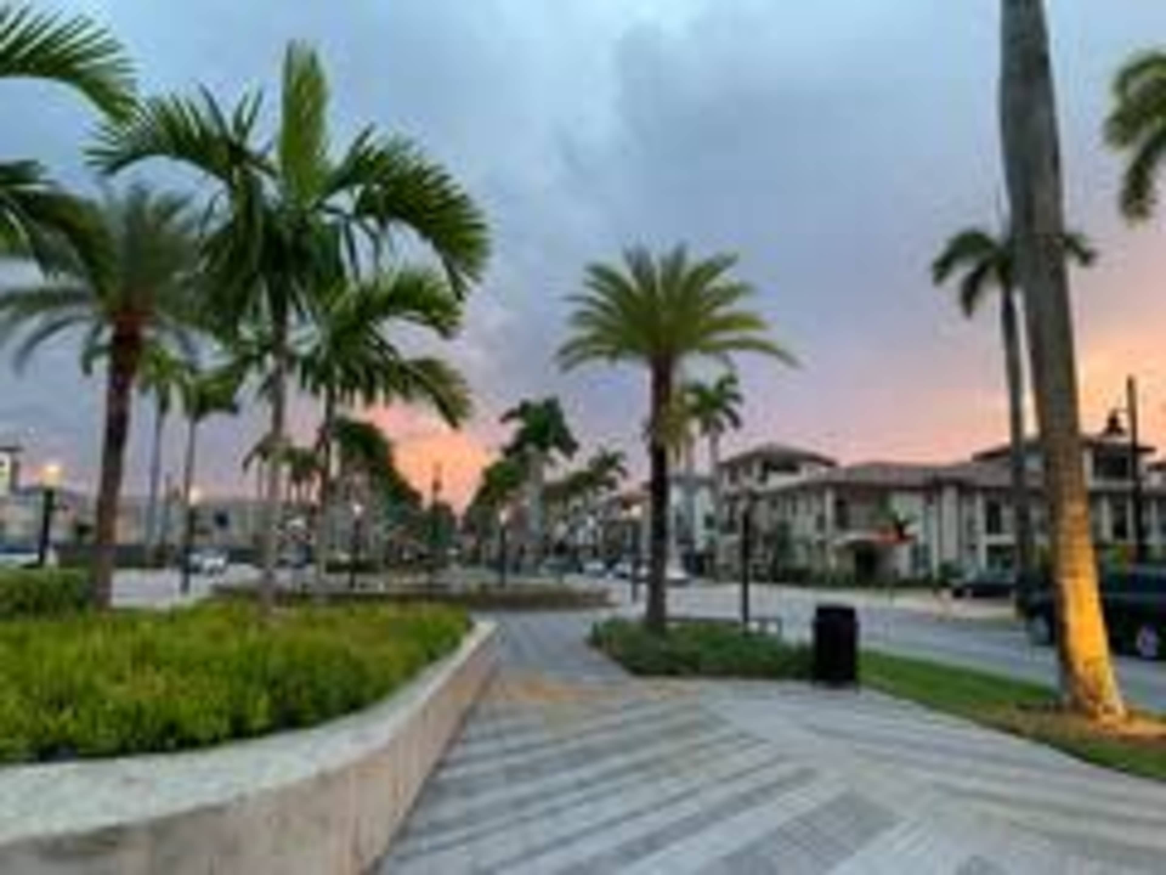 The scene depicts a palm-lined walkway with modern buildings and a cloudy sky during twilight.