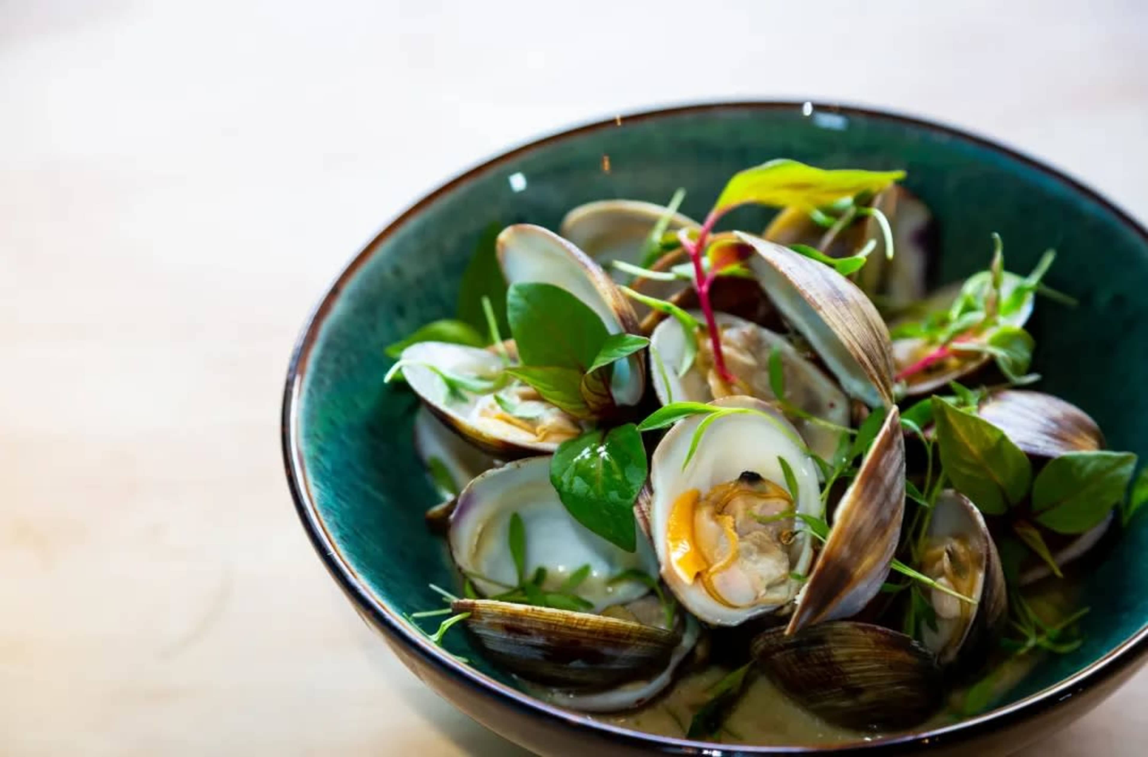 A bowl of steamed clams garnished with fresh greens sits on a wooden surface.