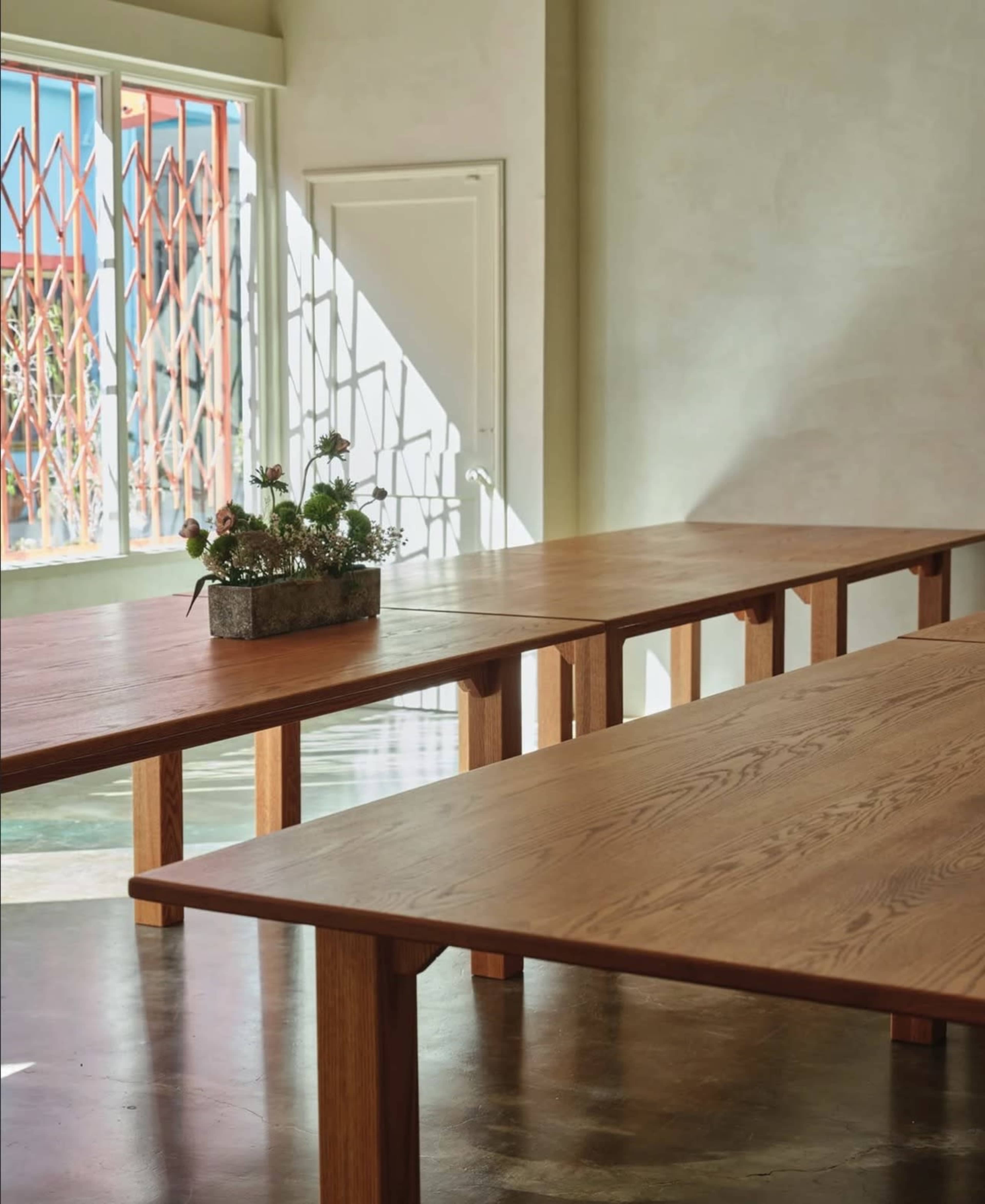 The image shows two wooden tables arranged in a well-lit room, with a planter of succulents on one of the tables and natural light streaming through a window.