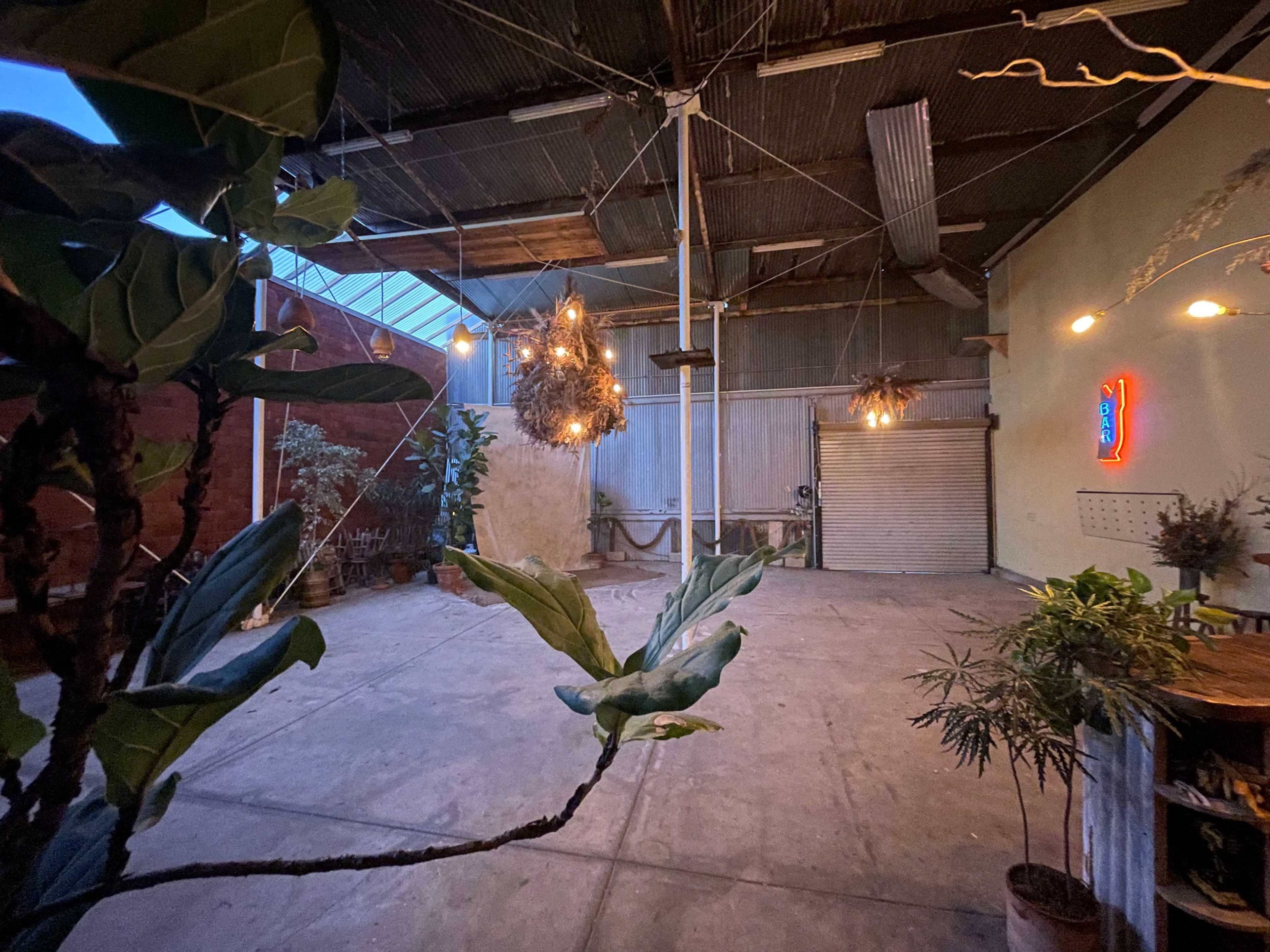 The image shows an industrial space with exposed metal beams, hanging light fixtures, and various plants arranged around a concrete floor.