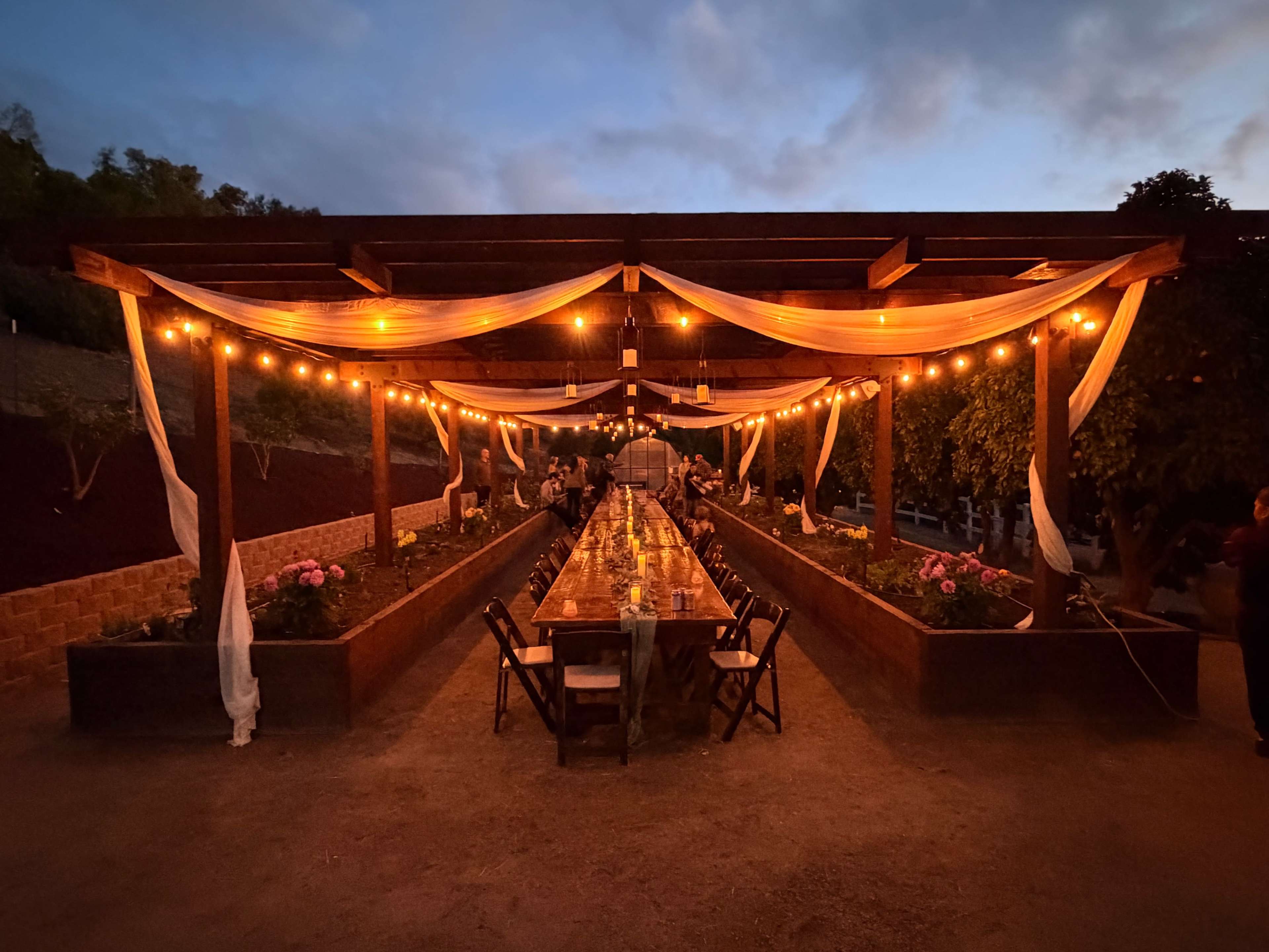 A long dining table is set under a wooden pergola adorned with soft drapes and string lights, surrounded by lush greenery at dusk.