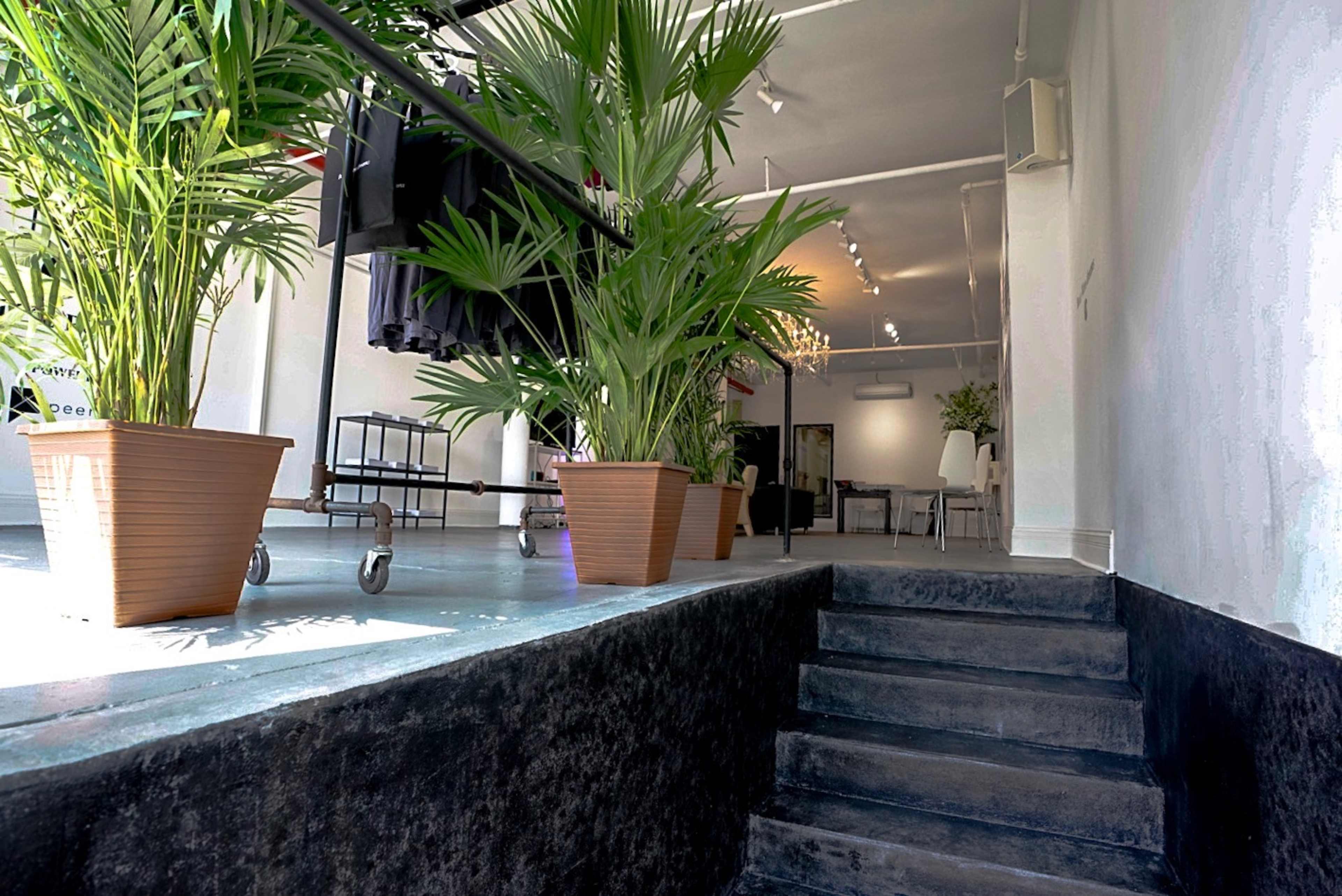 A spacious room with potted palm plants and a staircase leading down to a lower level.