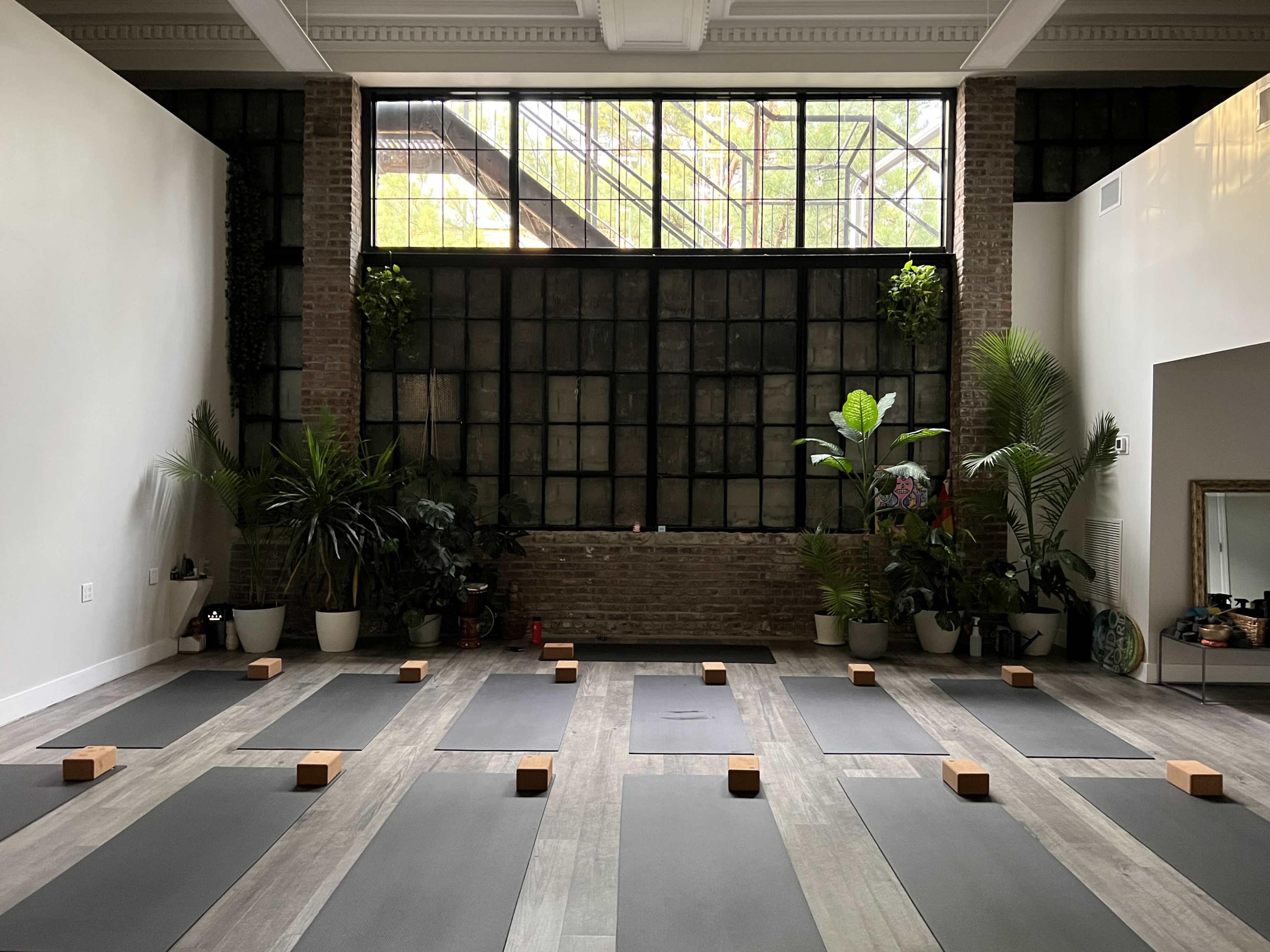 A spacious yoga studio with multiple yoga mats arranged in rows, surrounded by large windows and green plants.