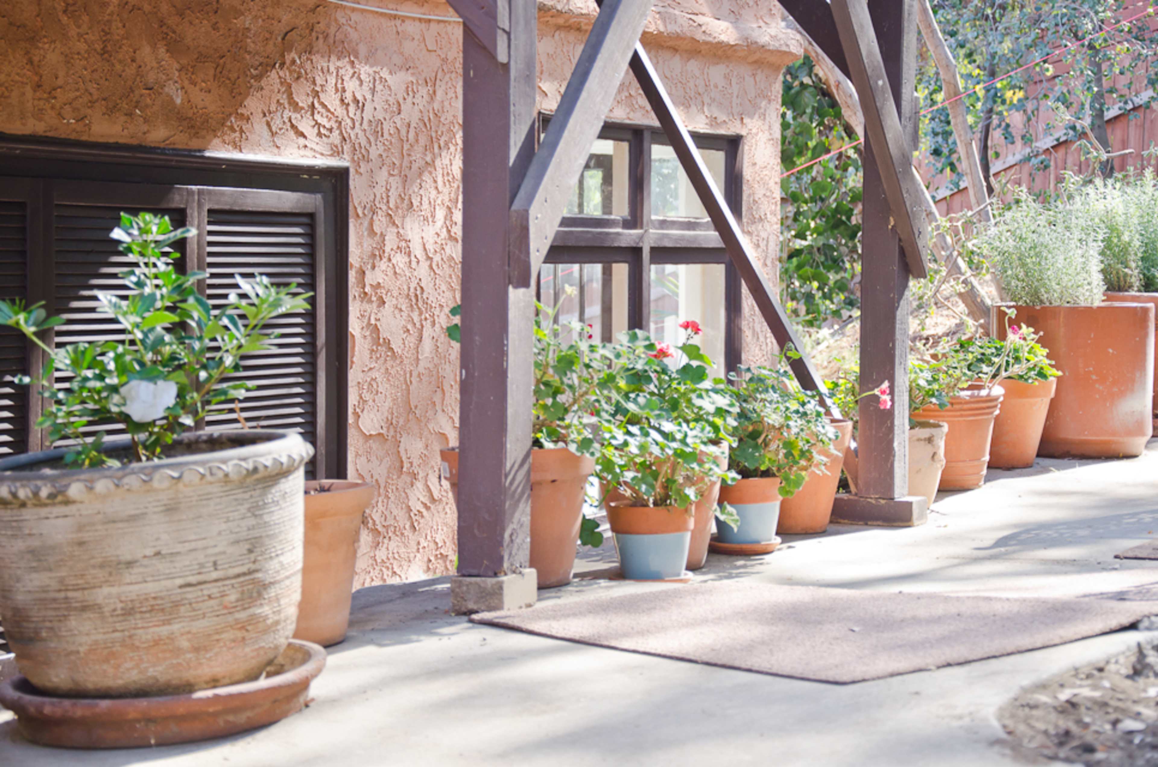 The scene features a pathway lined with potted plants in various sizes alongside a textured wall of a building.