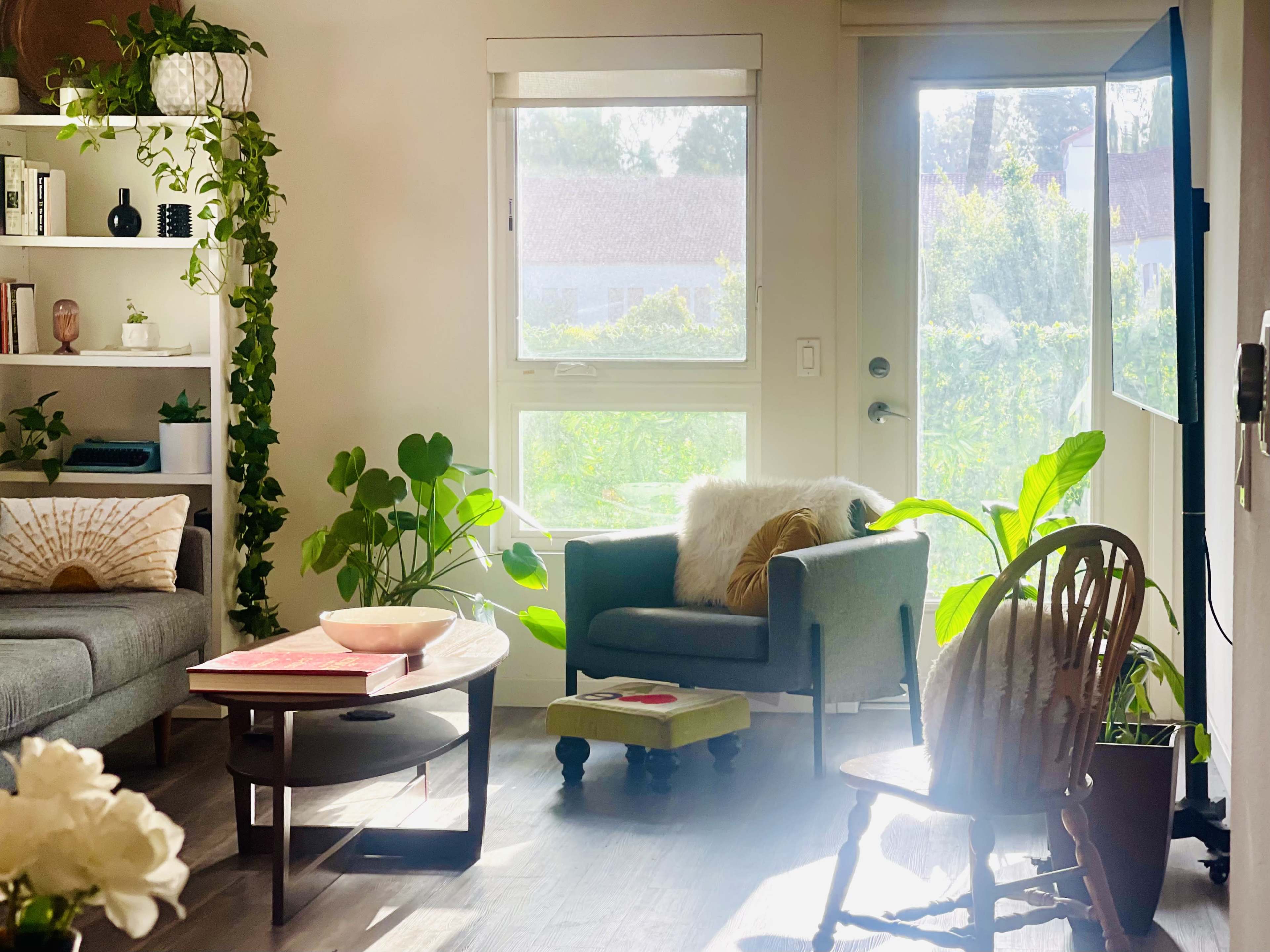 A cozy living room features a gray armchair, a wooden coffee table, large plants, a bright window, and a door leading outside.