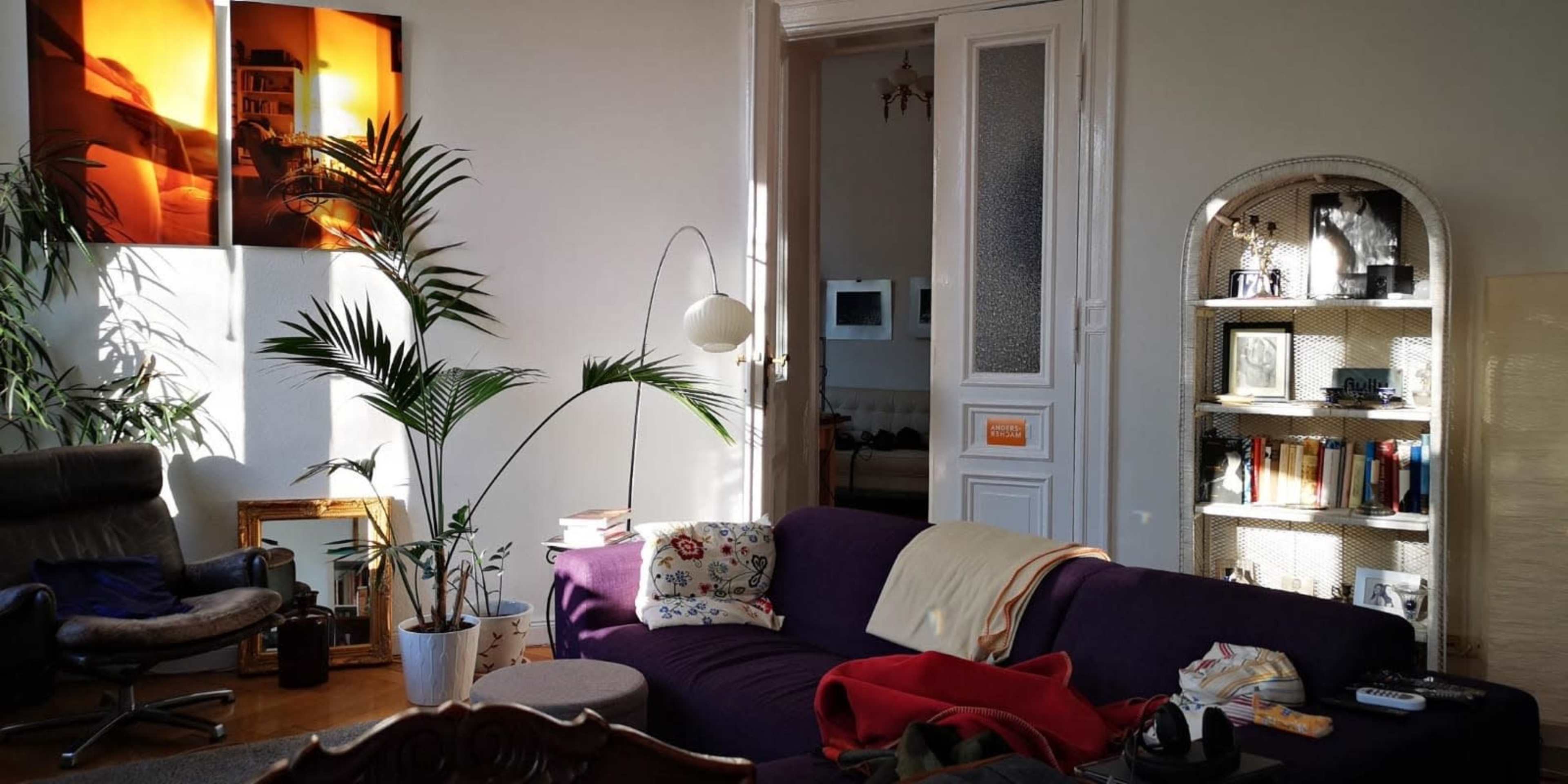 The image displays a brightly lit living room featuring a purple couch, a tall lamp, indoor plants, a bookshelf, and artwork on the walls.