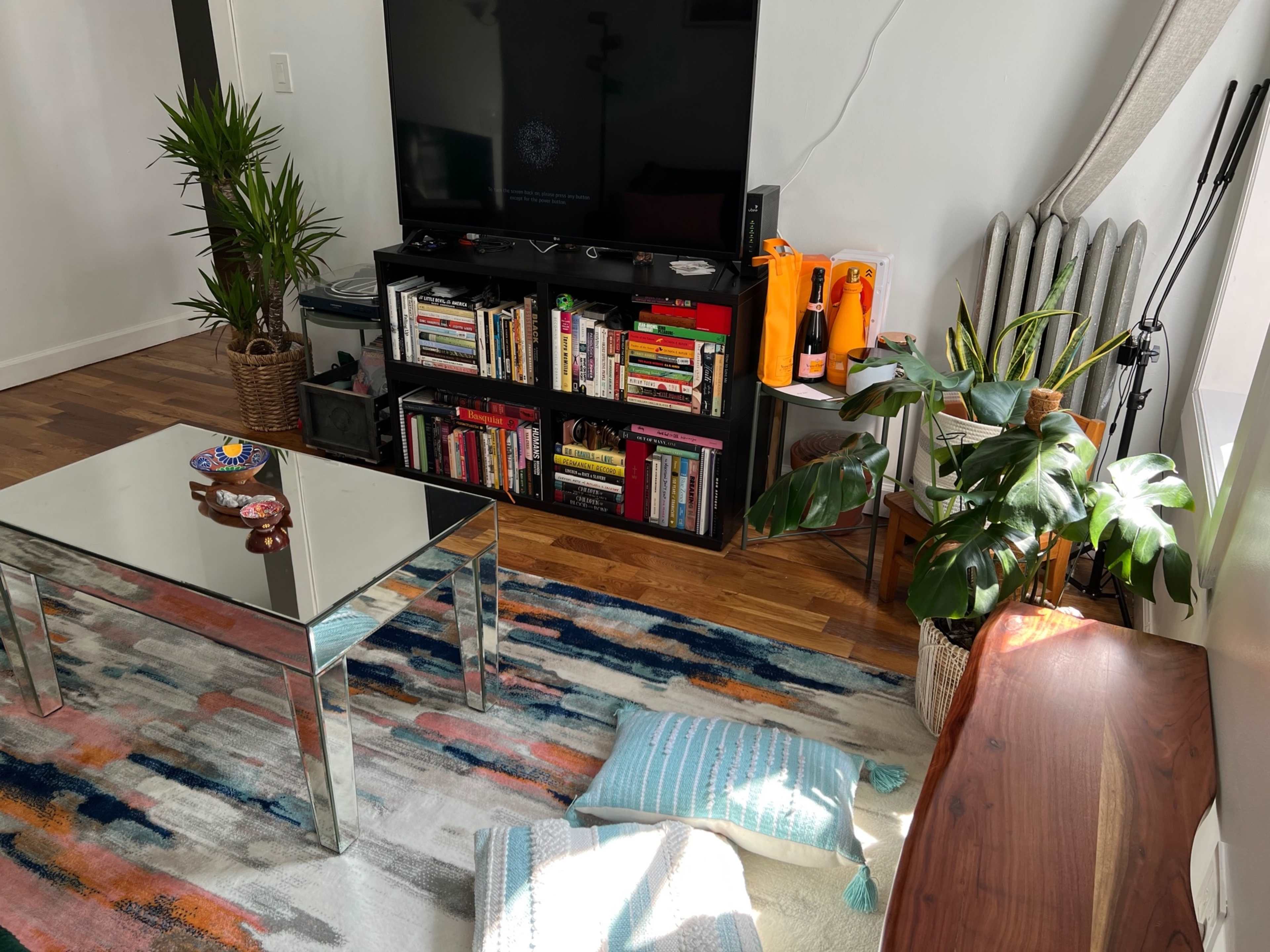 A modern living room with a glass coffee table, a large TV, a bookshelf filled with books, potted plants, and a colorful area rug.