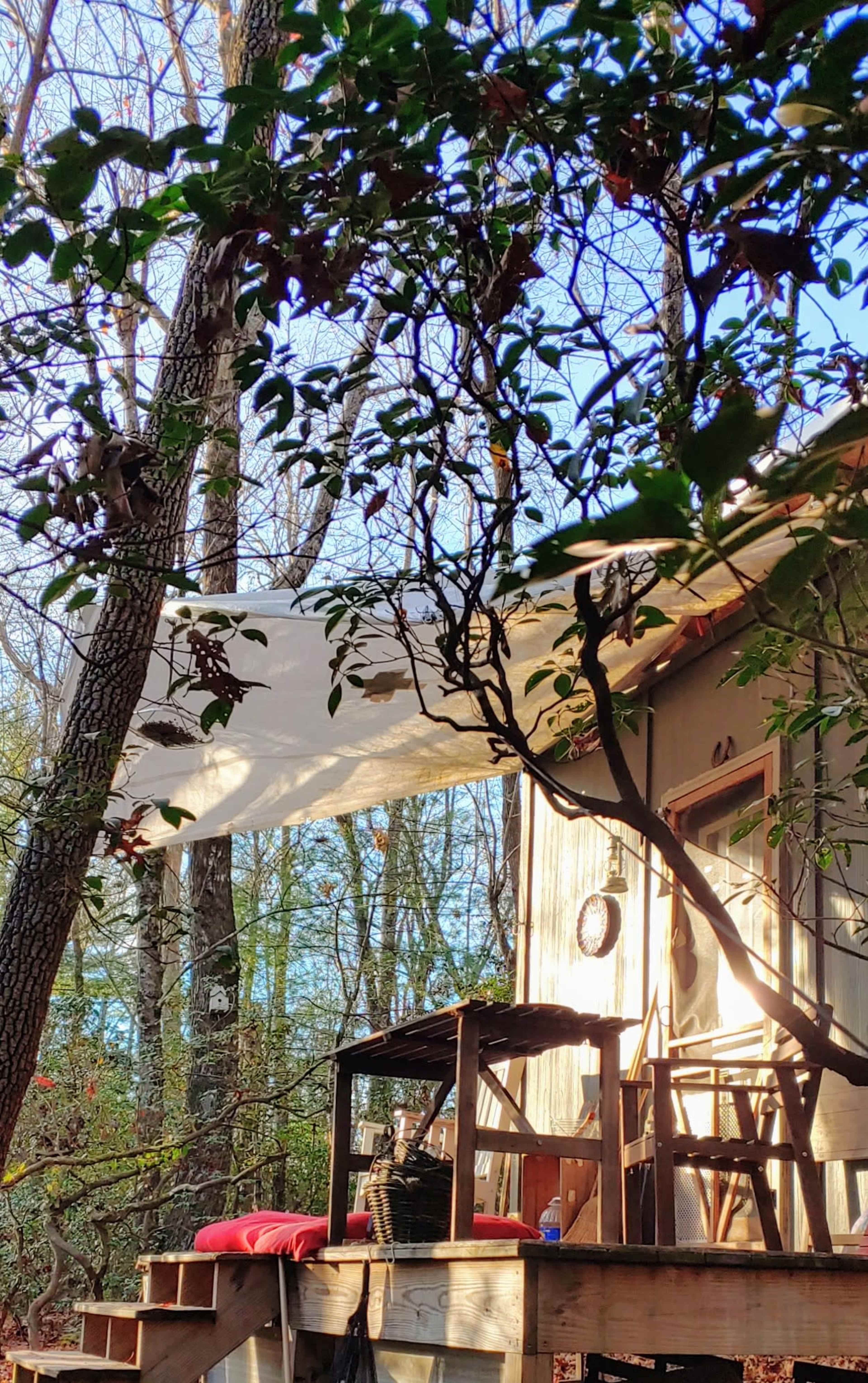 A wooden structure with a deck and a shaded area is situated among trees in a wooded setting.