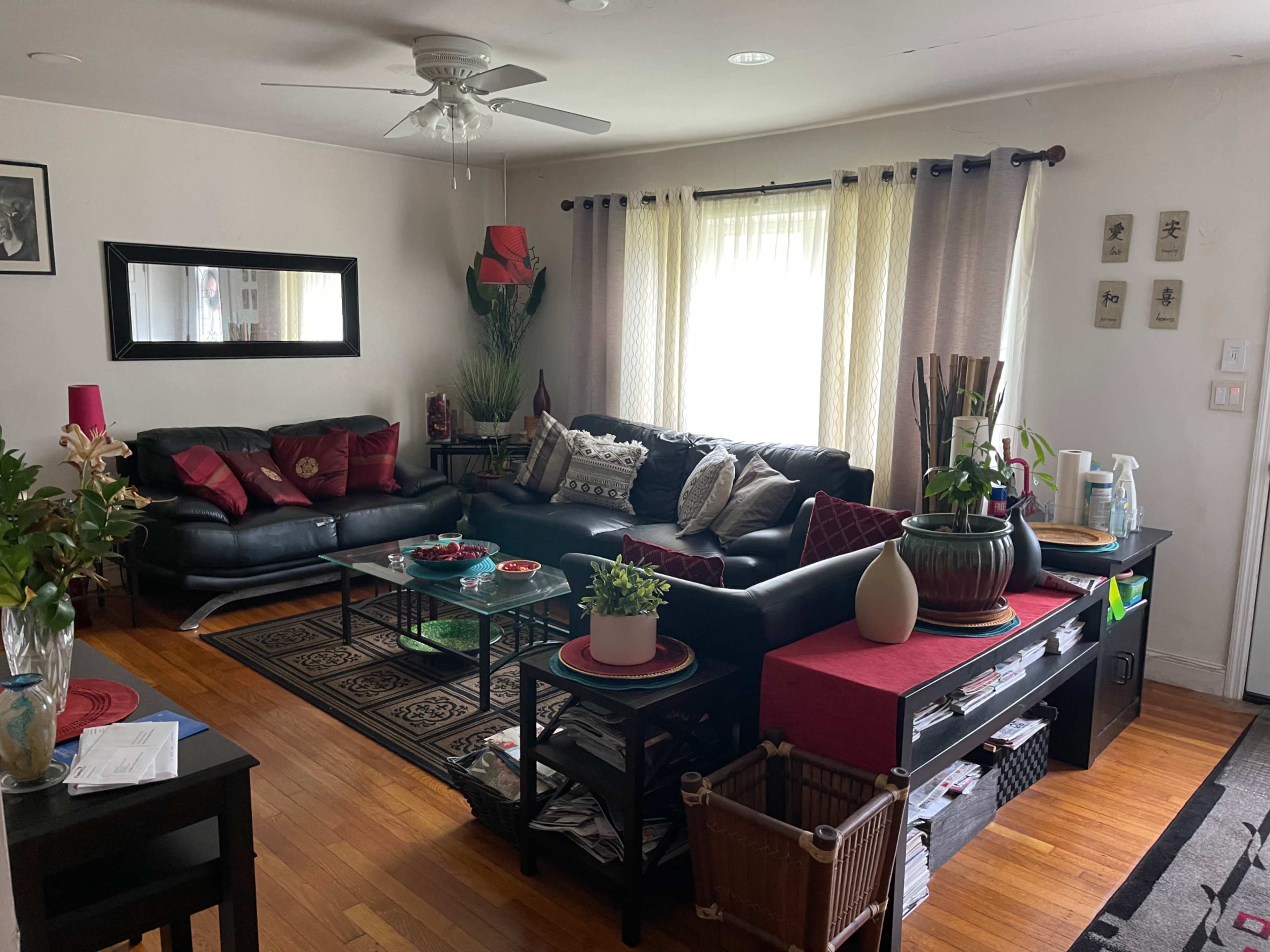 A living room features a black leather sofa, a glass coffee table, decorative pillows, and plants, with light streaming in through a large window.