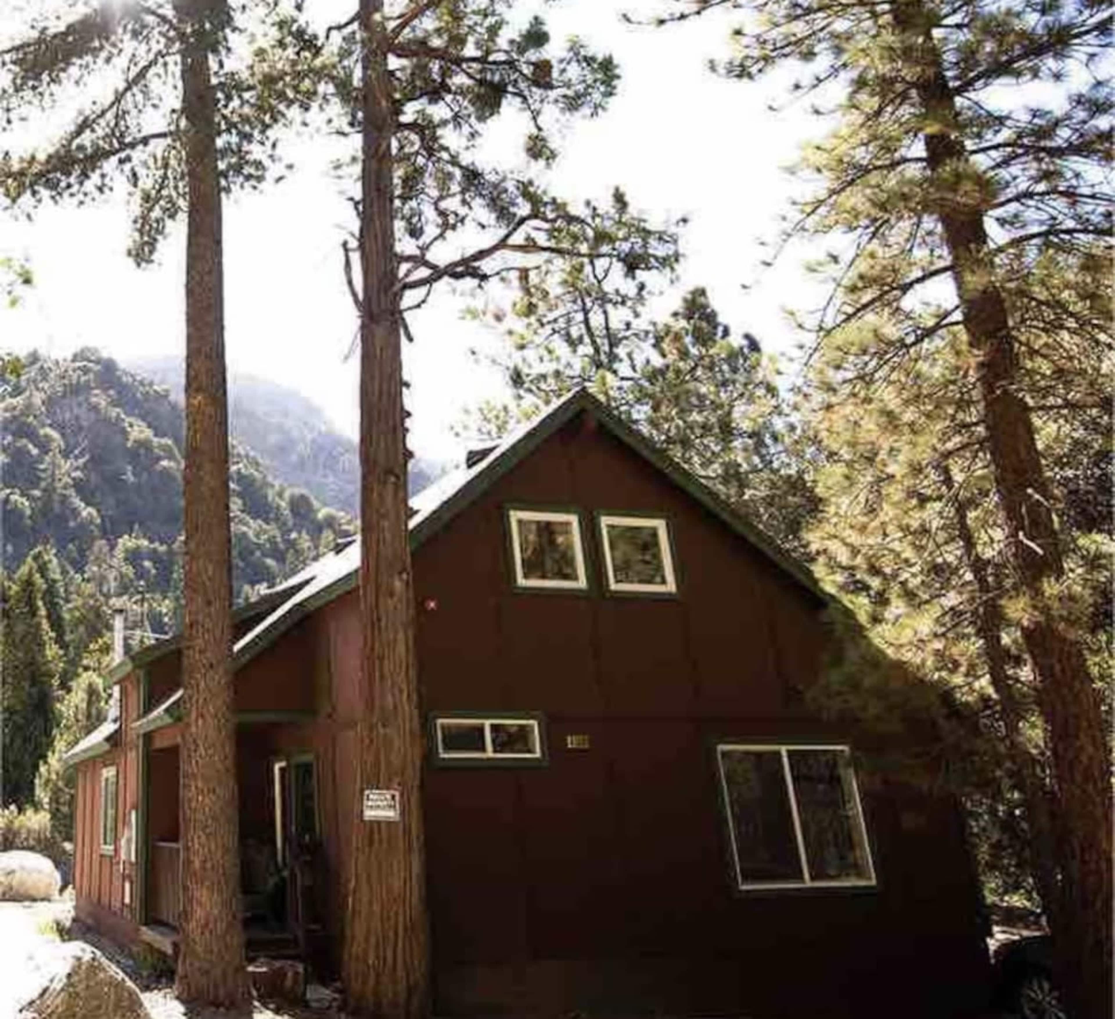 A brown house with white trim is nestled among tall pine trees in a wooded area.