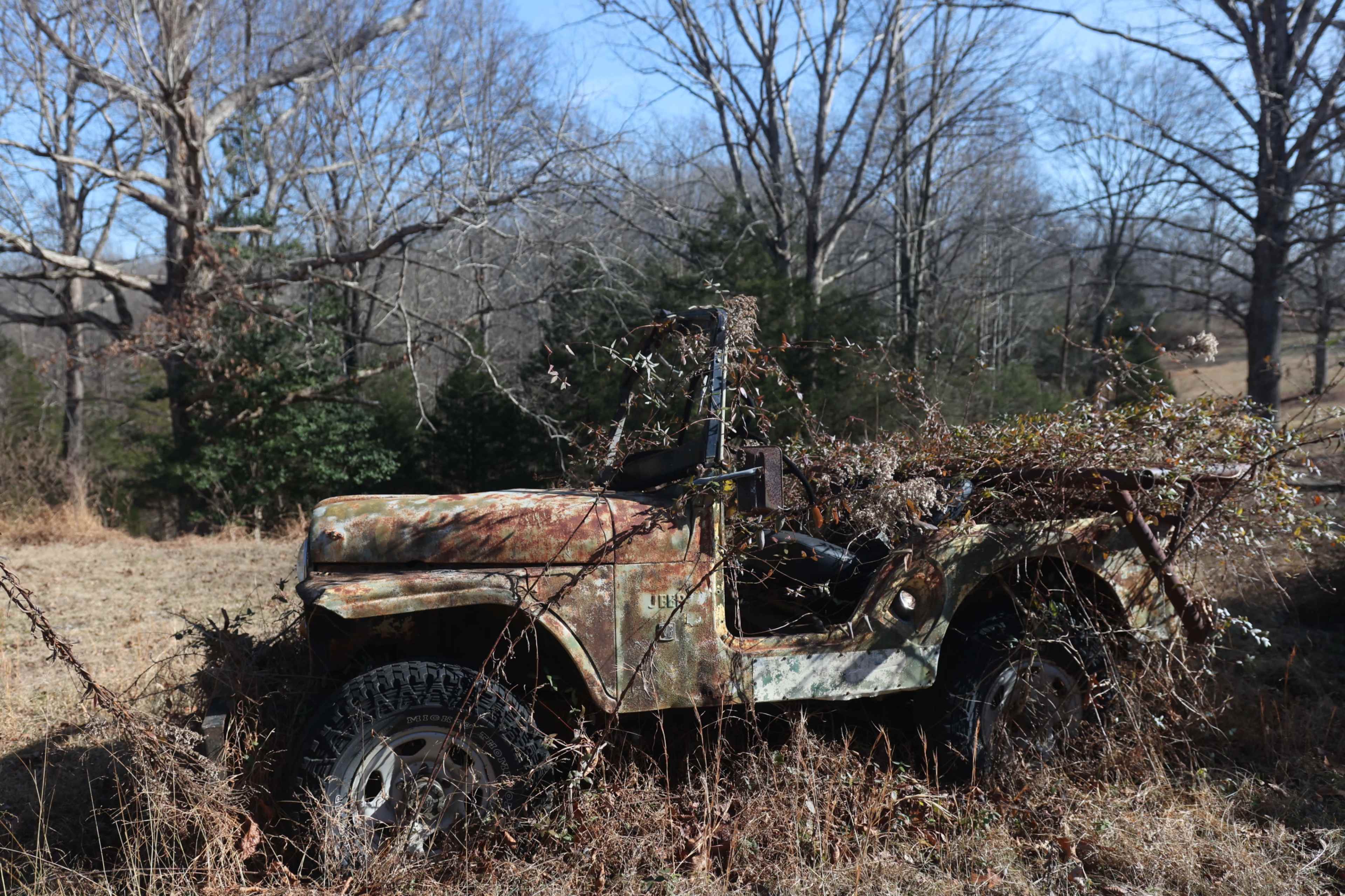 Rural Car Junkyard with Woods Image in , Fairview, TN