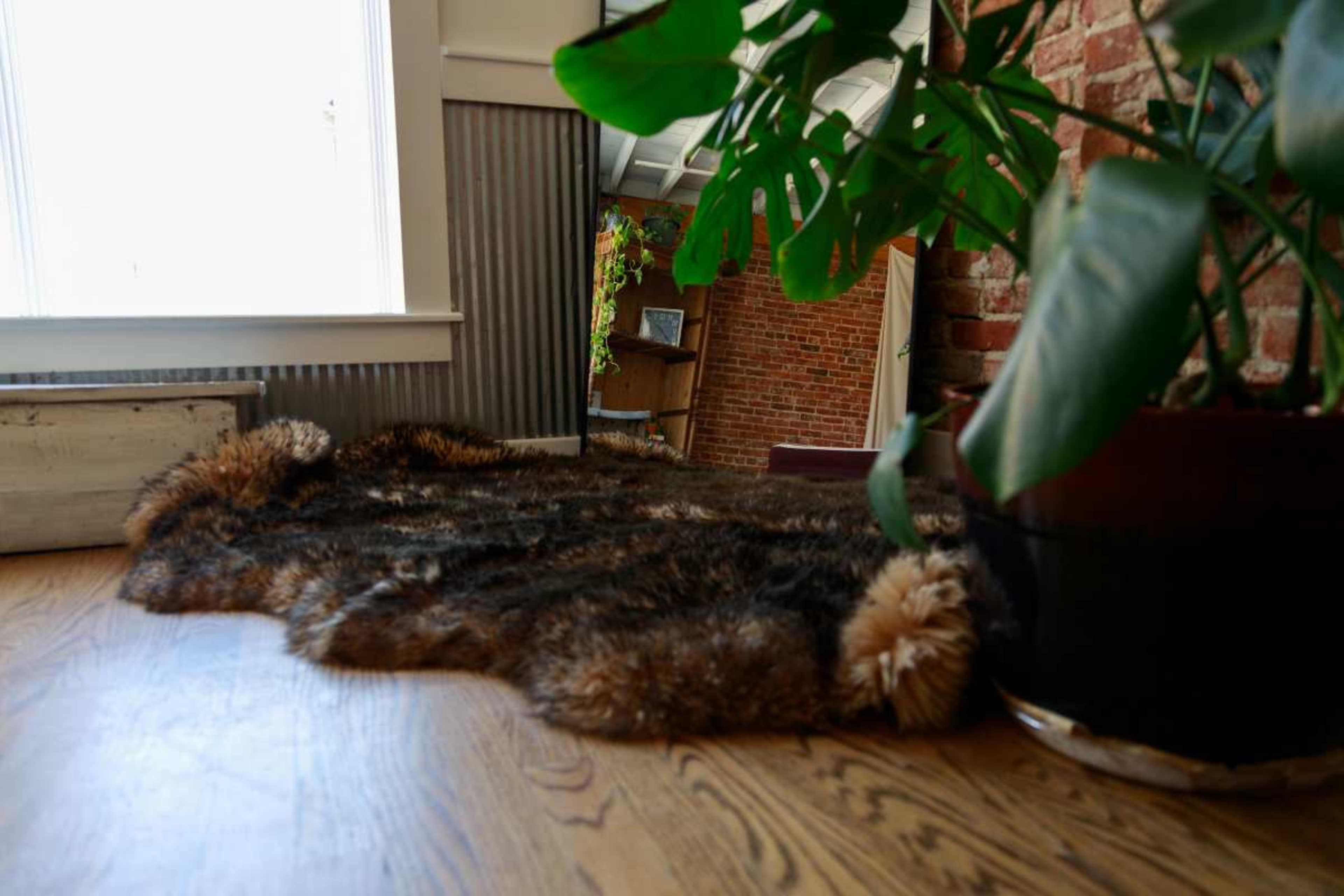 A large, textured rug is placed on a wooden floor beside a potted plant in a room with brick walls and a window.