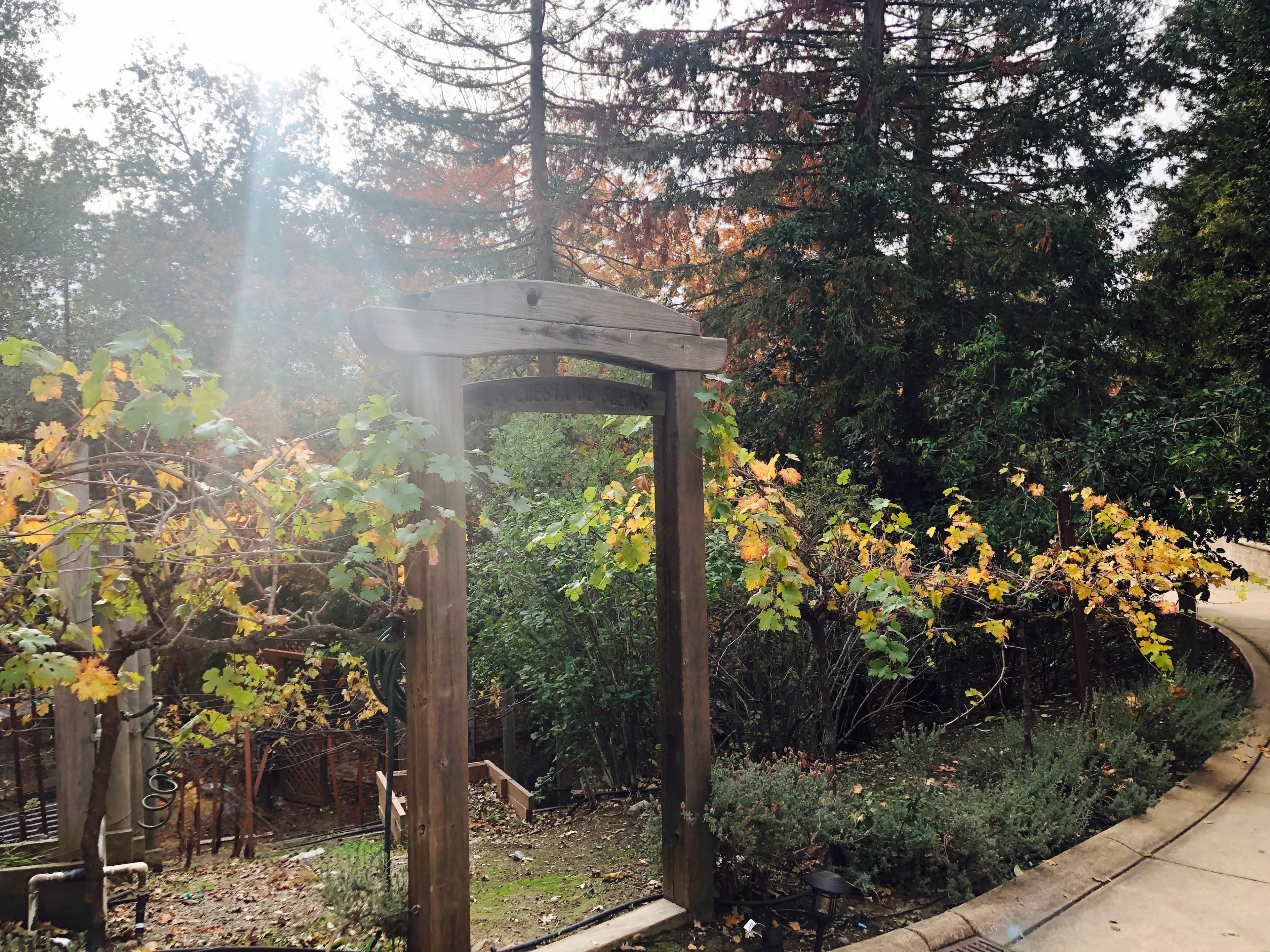 A wooden archway leads into a garden filled with plants and trees, with autumn leaves on the ground and a path curving to the right.