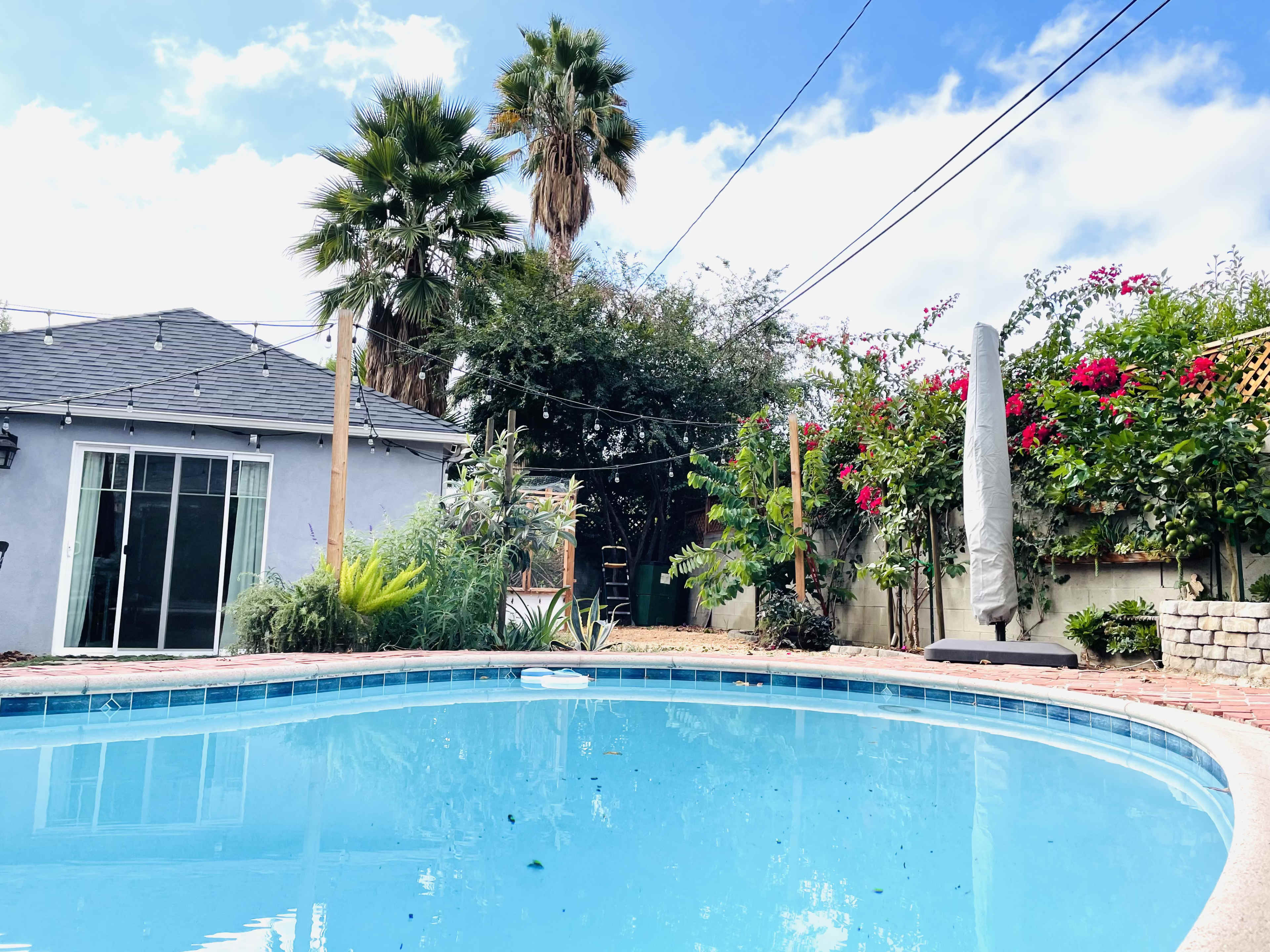 The image shows a swimming pool surrounded by a landscaped yard featuring palm trees and flowering plants, with a house visible in the background.