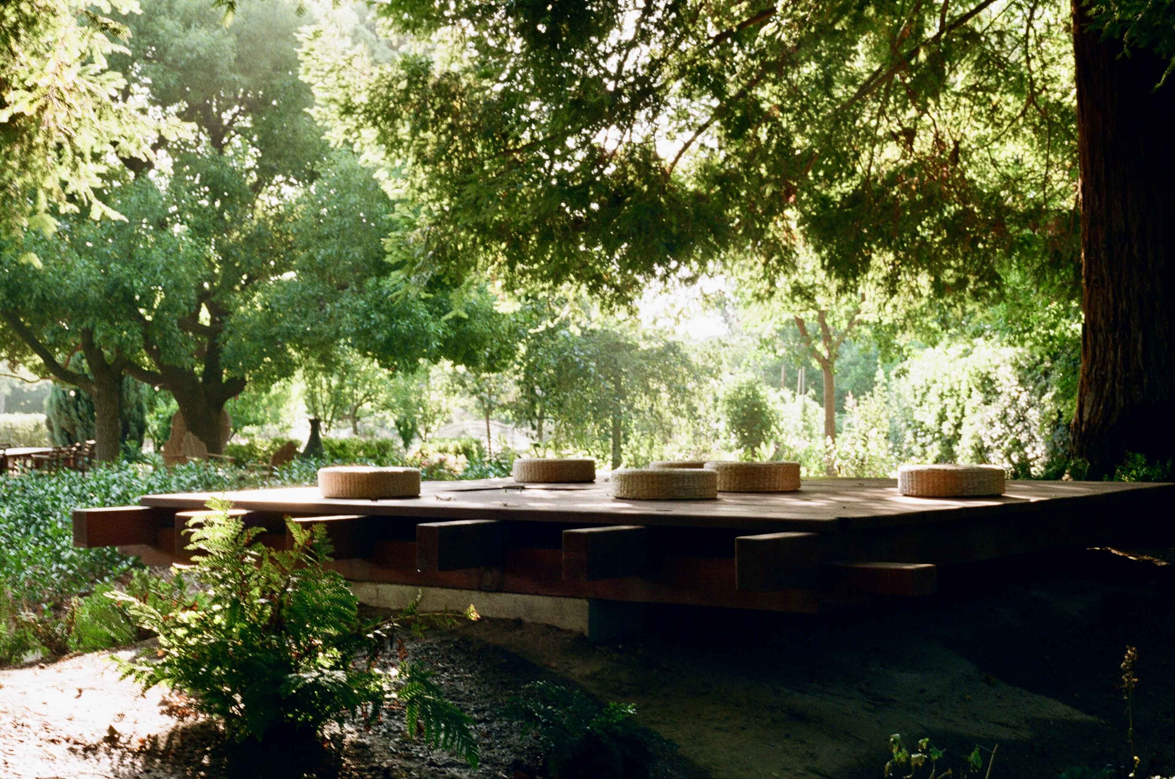 A wooden platform with circular seating is surrounded by dense greenery and trees.