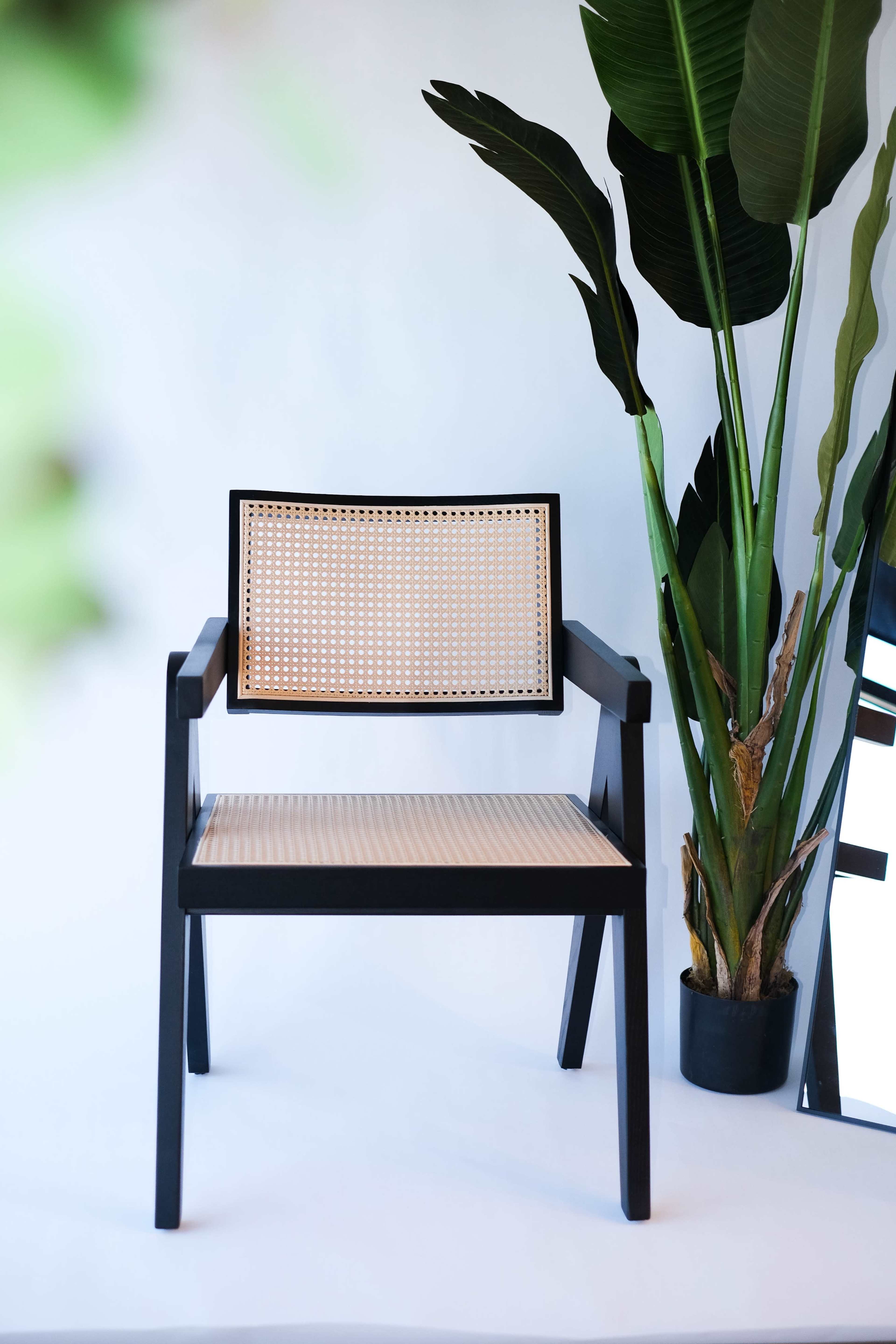 A modern black chair with a woven seat sits in front of a green plant and a mirror against a light backdrop.
