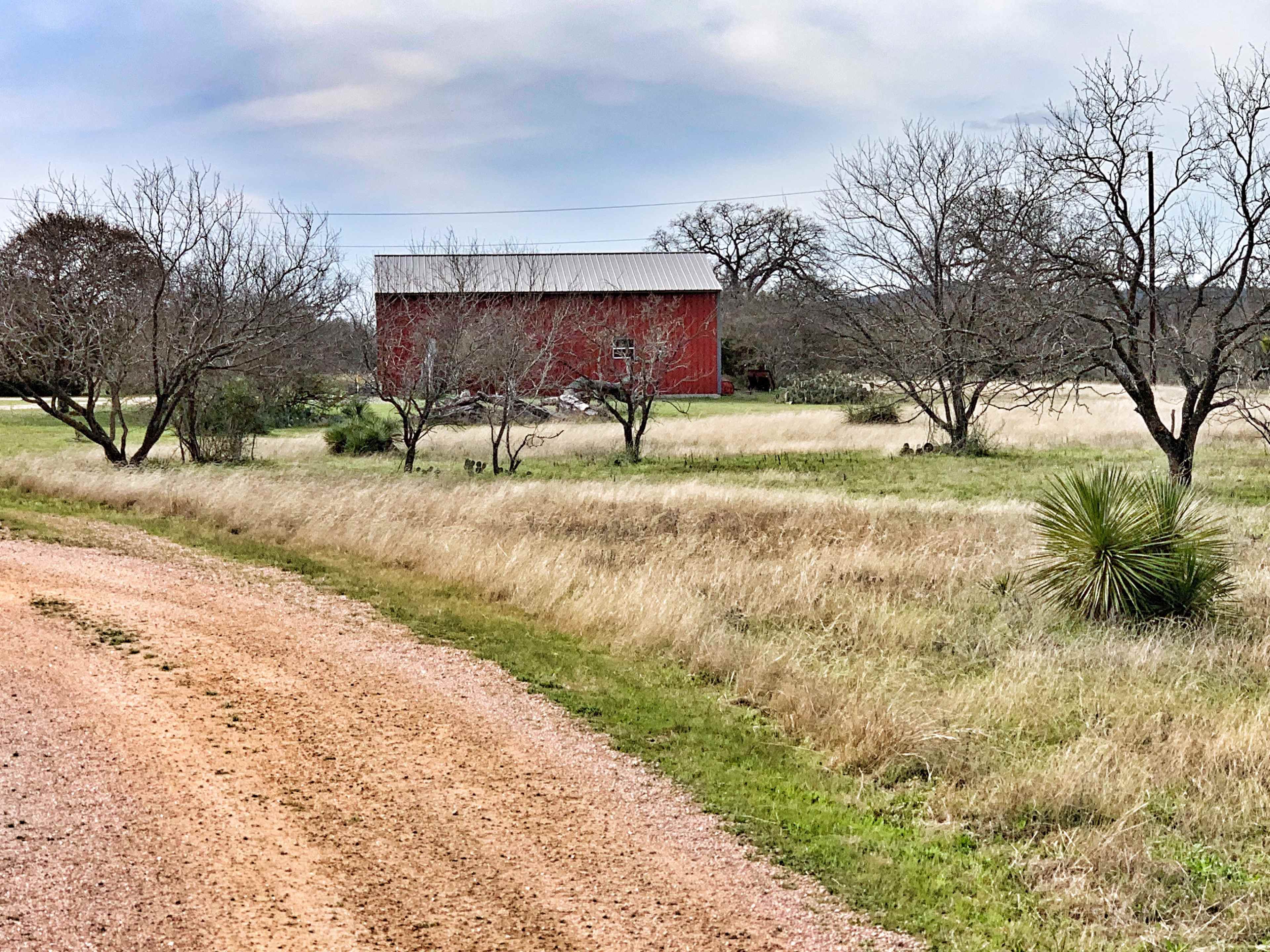 A red barn stands among sparse trees and tall grass beside a gravel road in a rural landscape.