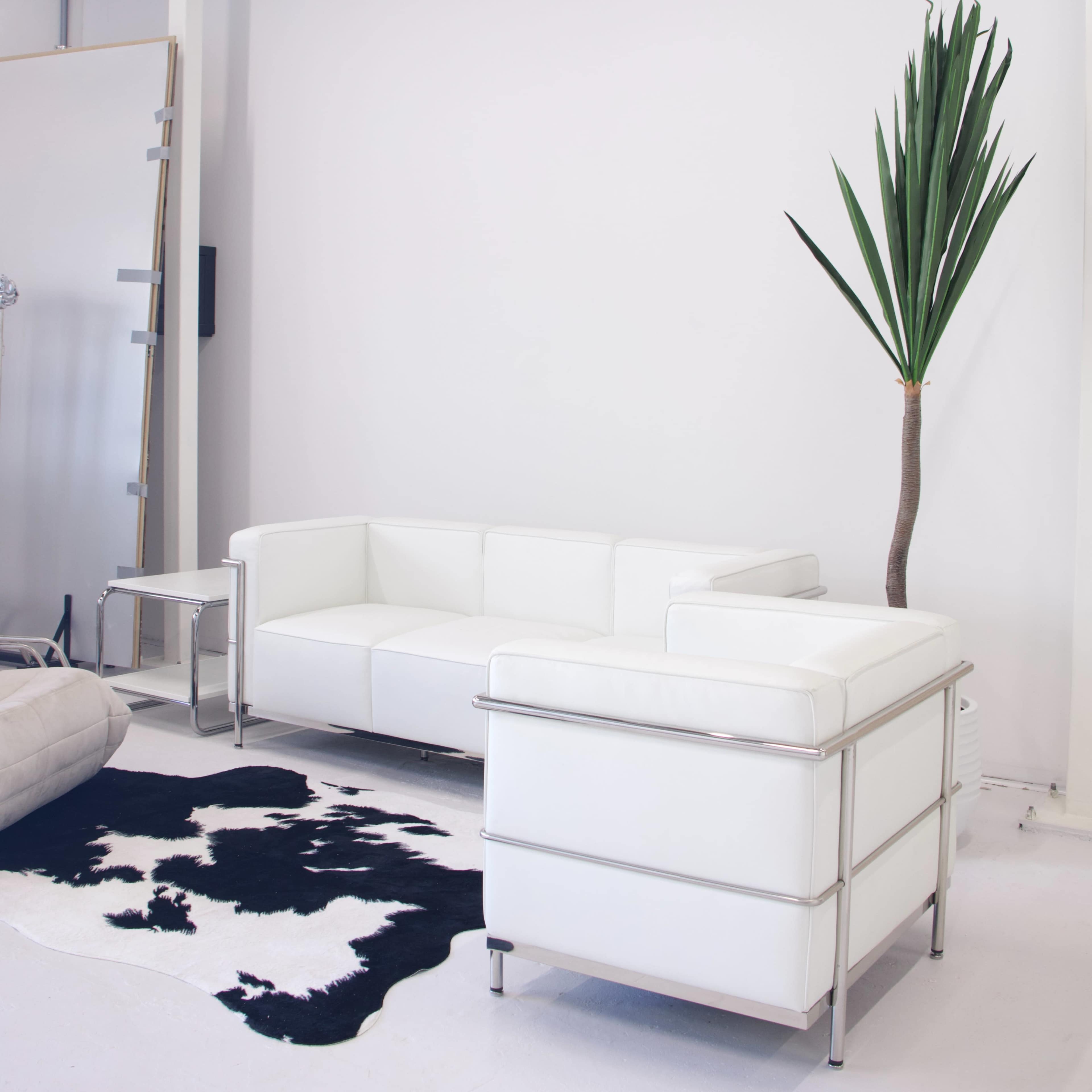 【Grand Opening 20% Off】 Minimalist Cyclorama Studio With Natural Light Image in Mascot, Mascot, NSW