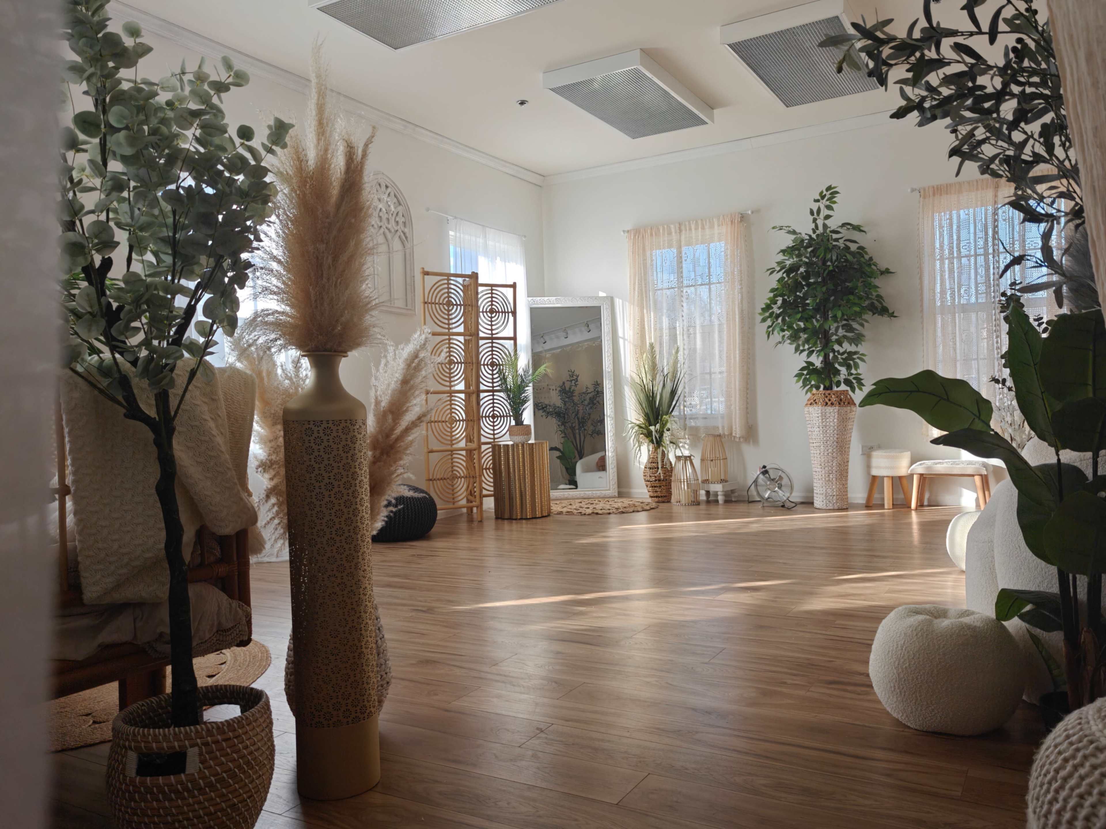 Beautiful Boho Suite with a lot of natural light and Studio style room with white backdrop Image in Winfield Township, Winfield, IL