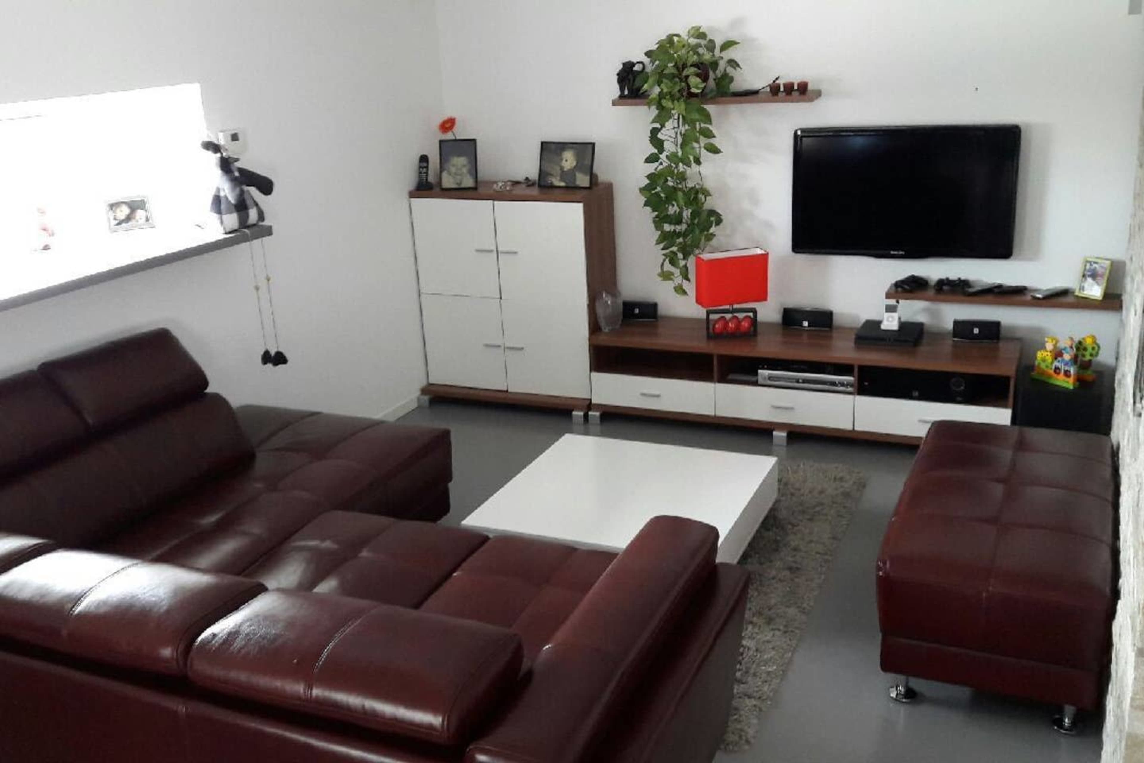 A modern living room features a brown leather sectional sofa, a white coffee table, a wall-mounted television, and decorative shelves with plants and pictures.