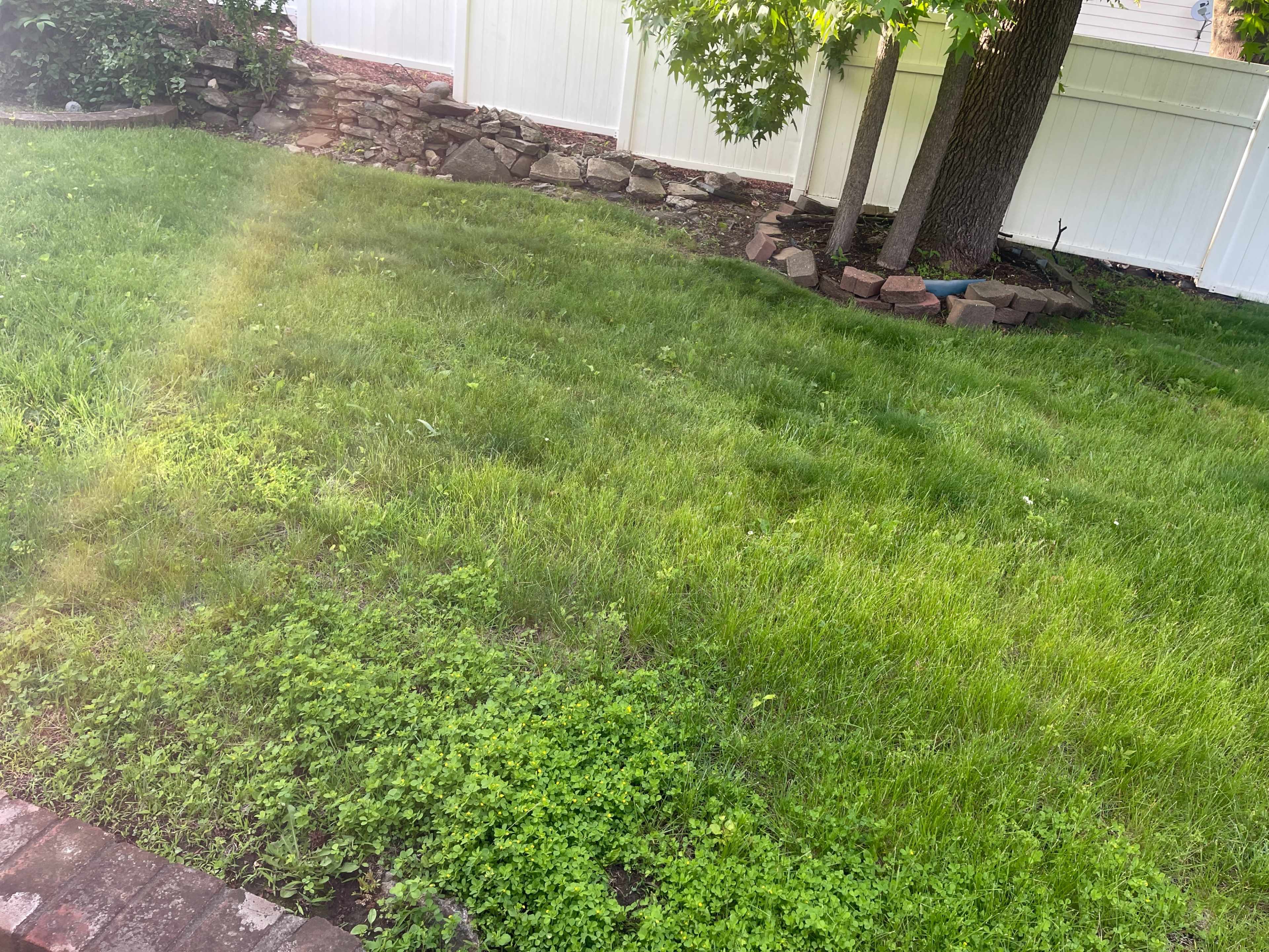 Large Front and Back yard Space Image in Park Hill, Yonkers, NY