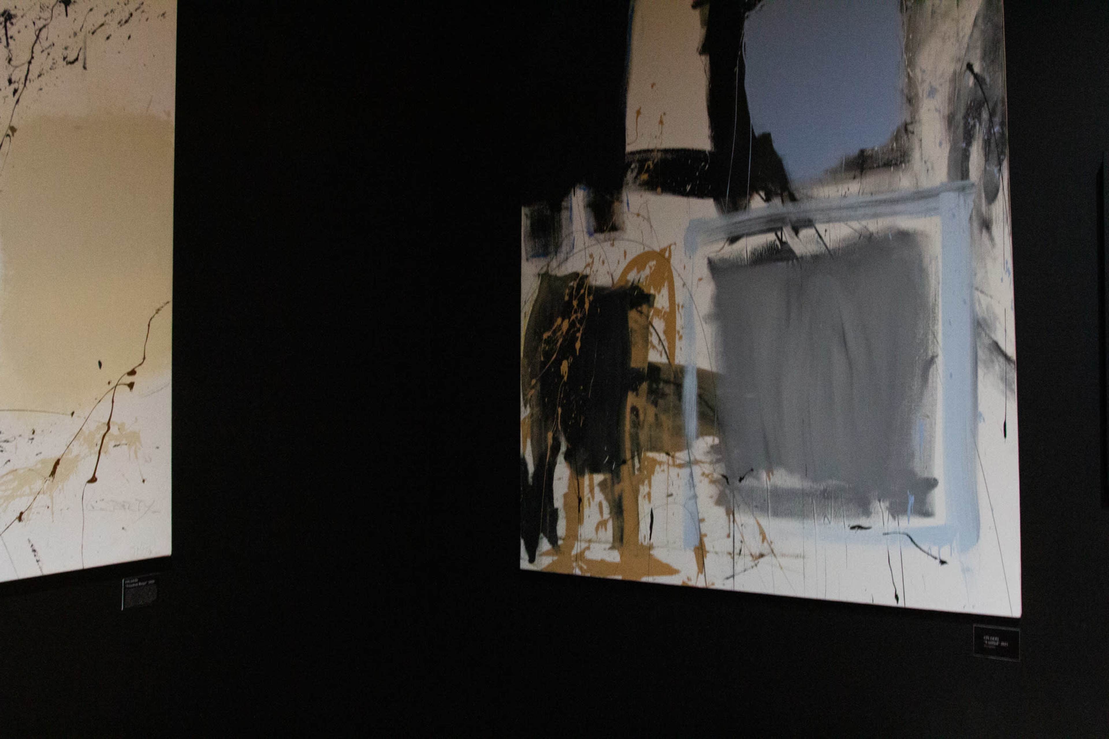Two abstract paintings displayed on a dark wall in an art gallery.