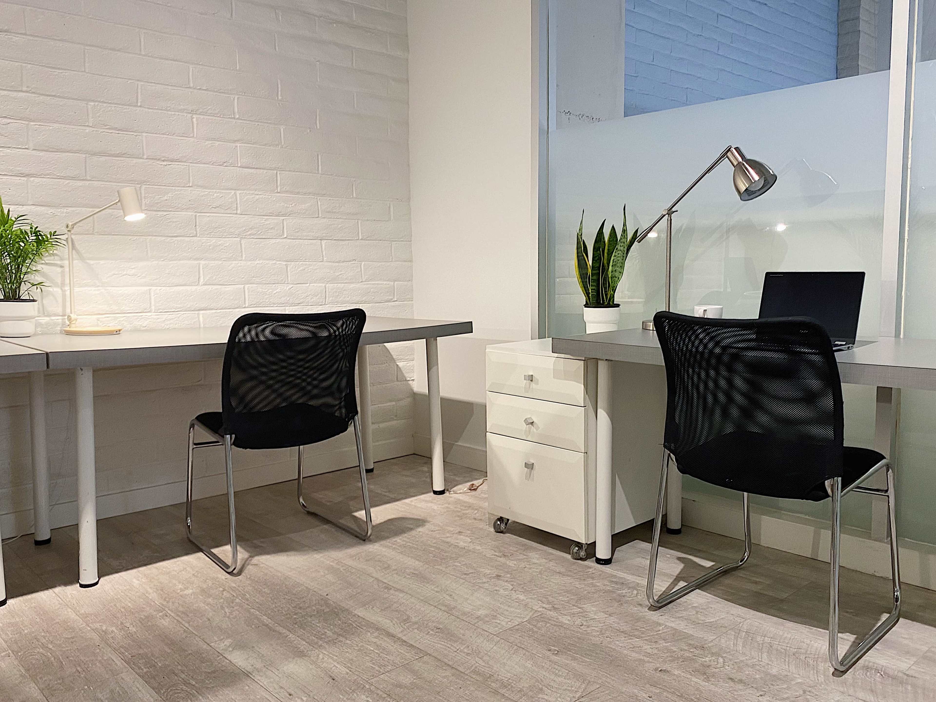 The image shows a minimalist office space with two desks, black chairs, a laptop on one desk, a white cabinet, and plants in the background.