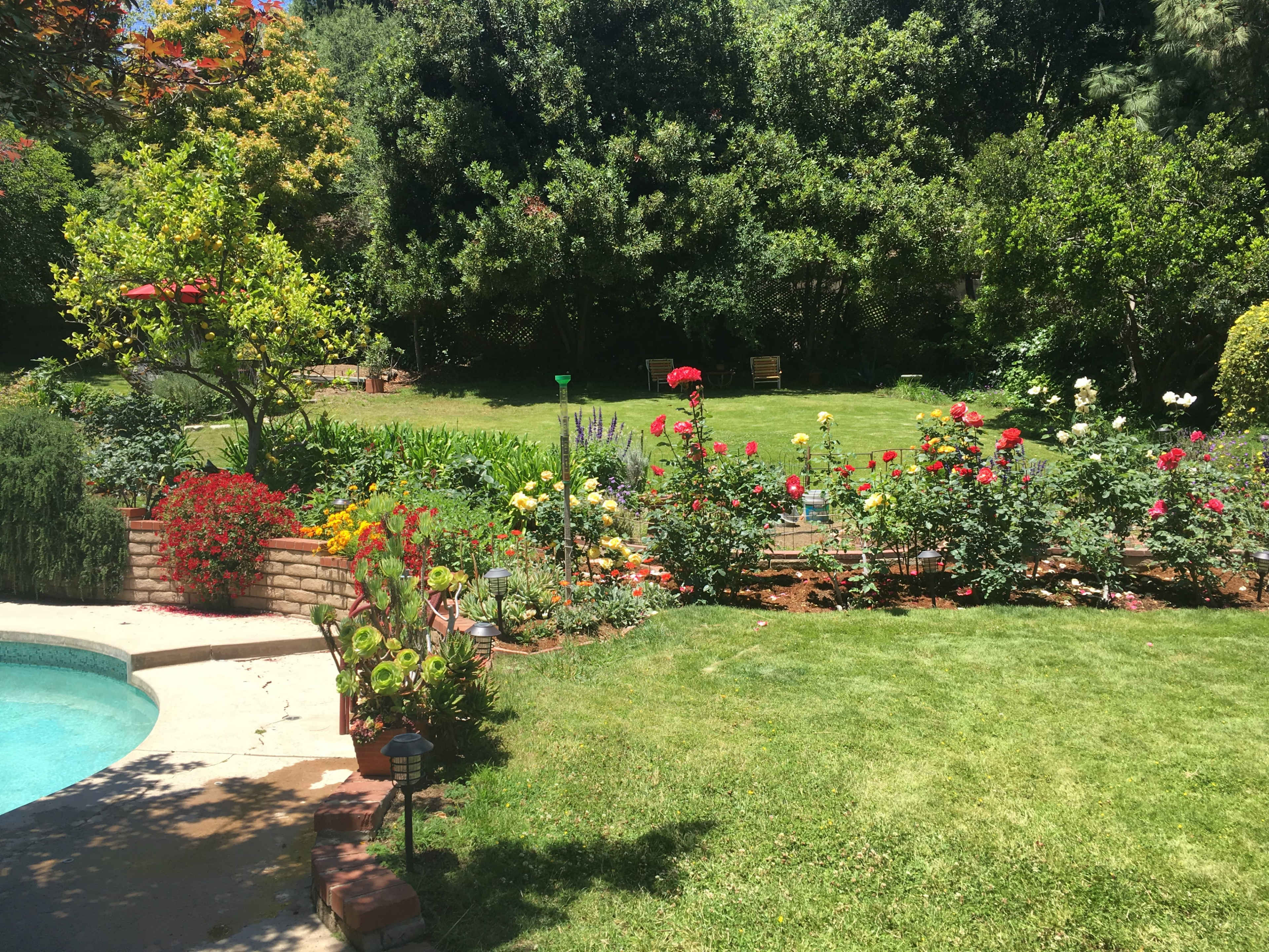 A well-maintained garden features a variety of colorful flowers along a brick border, with a grassy area and a swimming pool in the foreground.