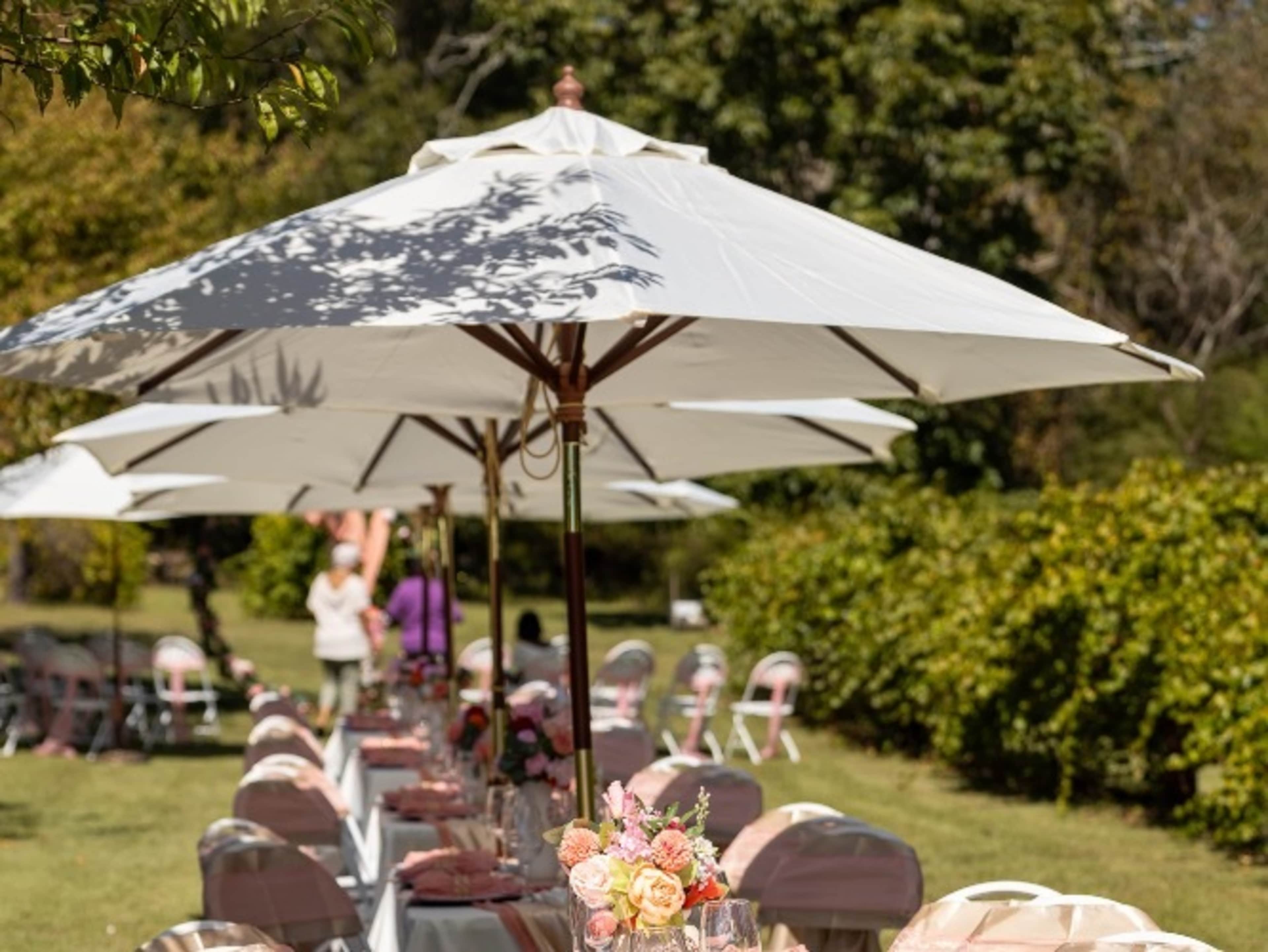 Outdoor Umbrellas