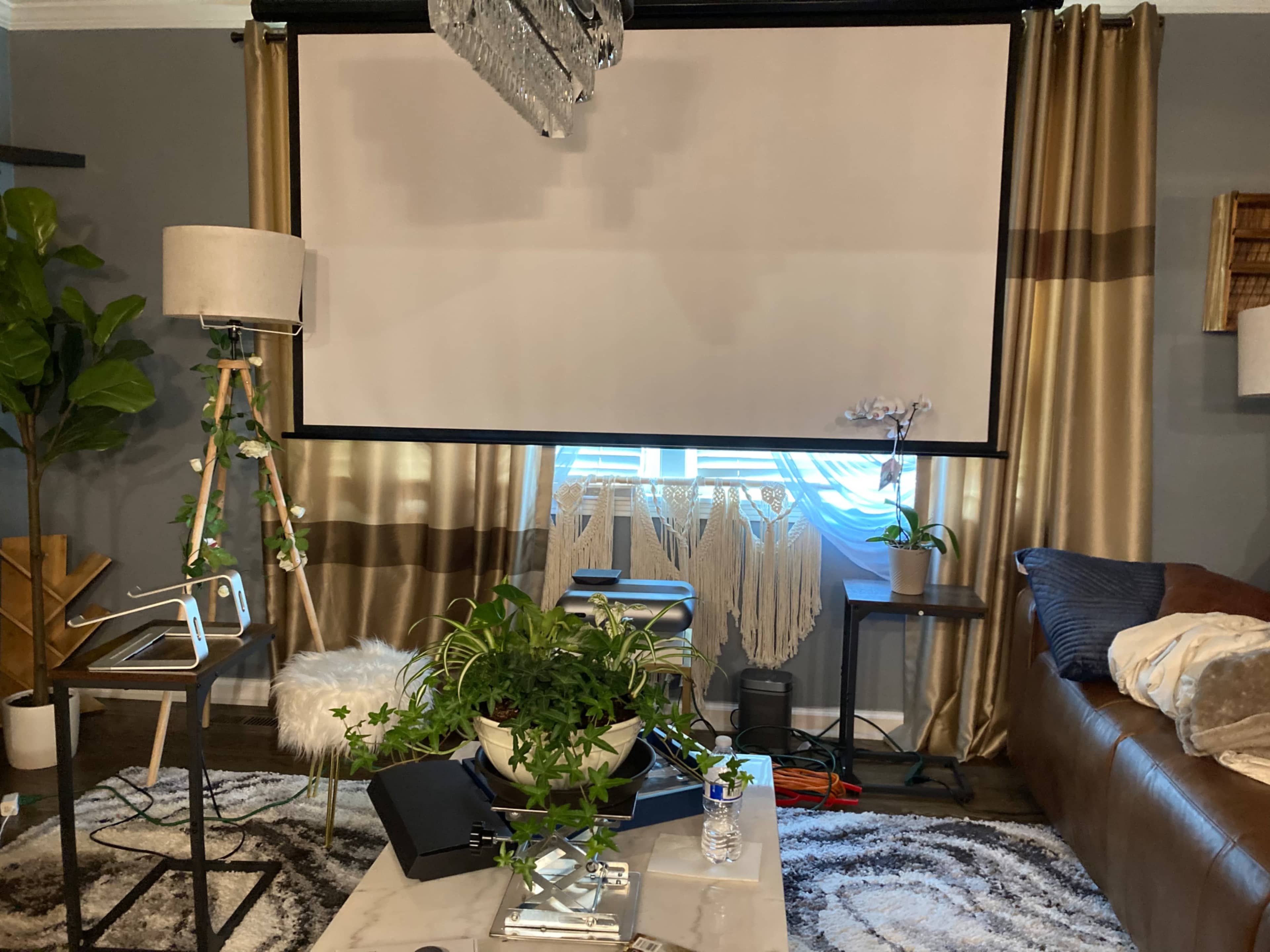 A living room setting with a projection screen in front of a window, a potted plant on a coffee table, and a cozy sofa in the background.