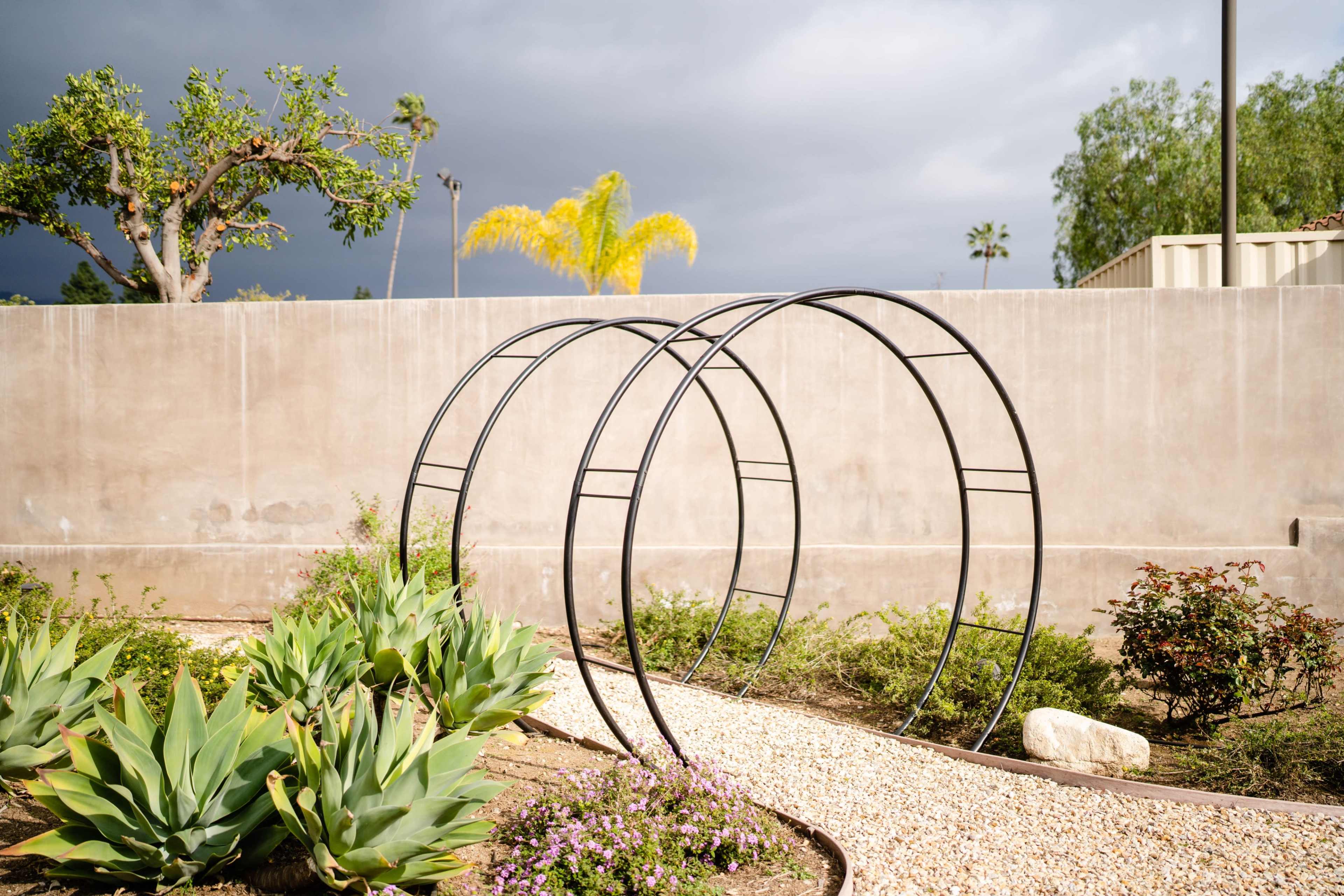 A metal trellis structure with two arches is positioned in a landscaped garden with various plants and a concrete wall in the background.