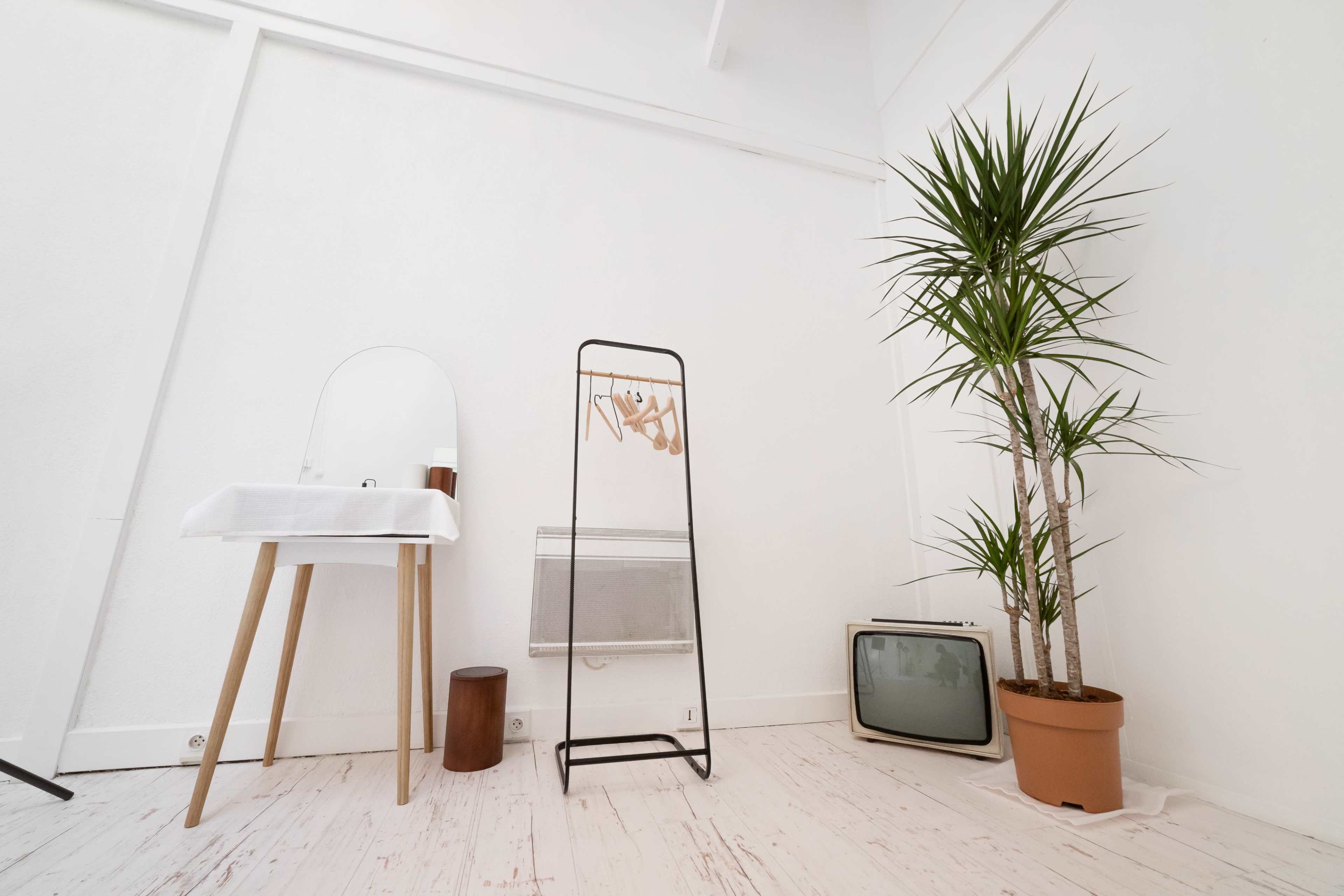 A minimalist interior space with a wall-mounted mirror, a clothing rack, a potted plant, and an old television set.