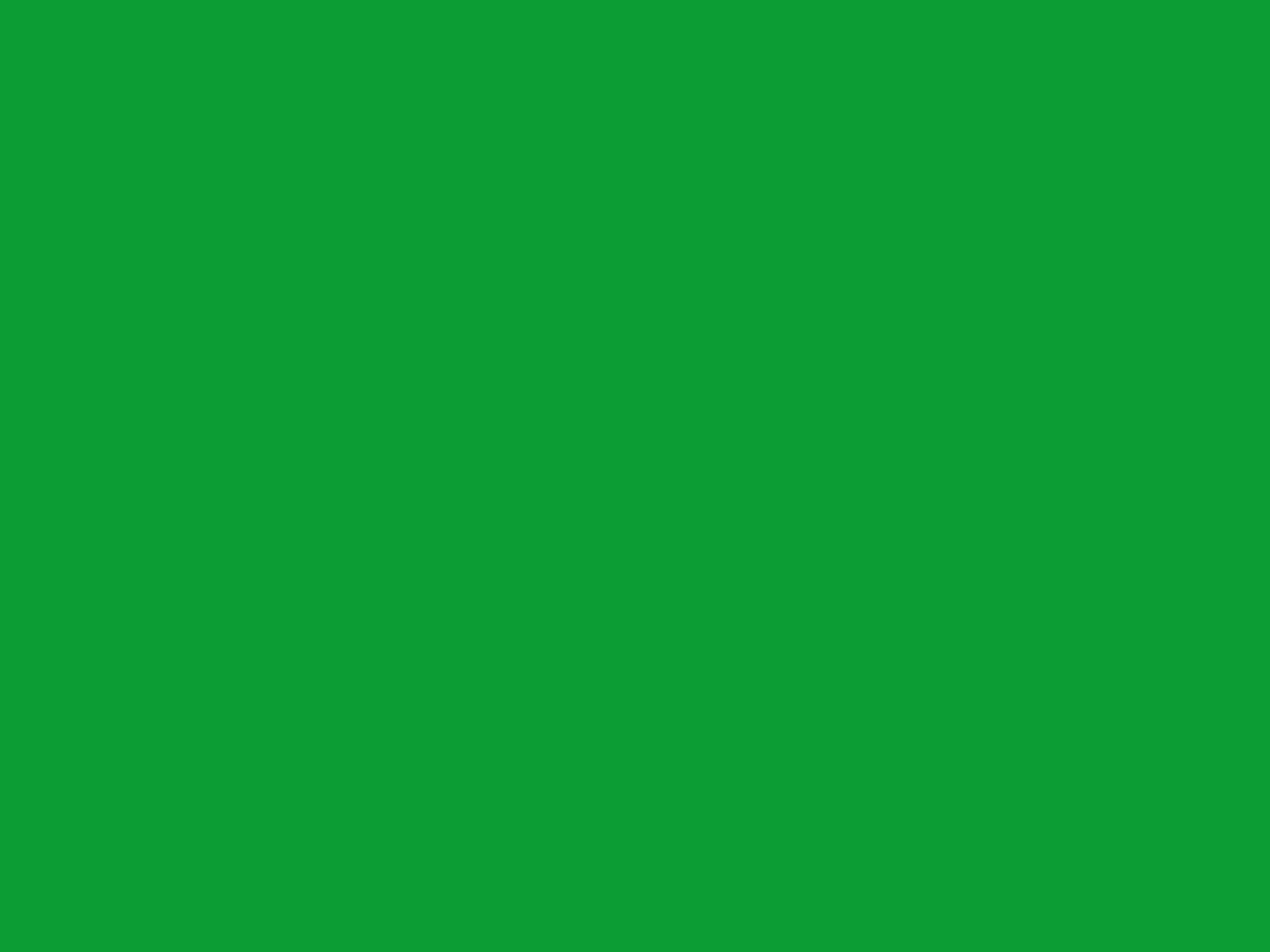 Green Screen Paper Backdrop