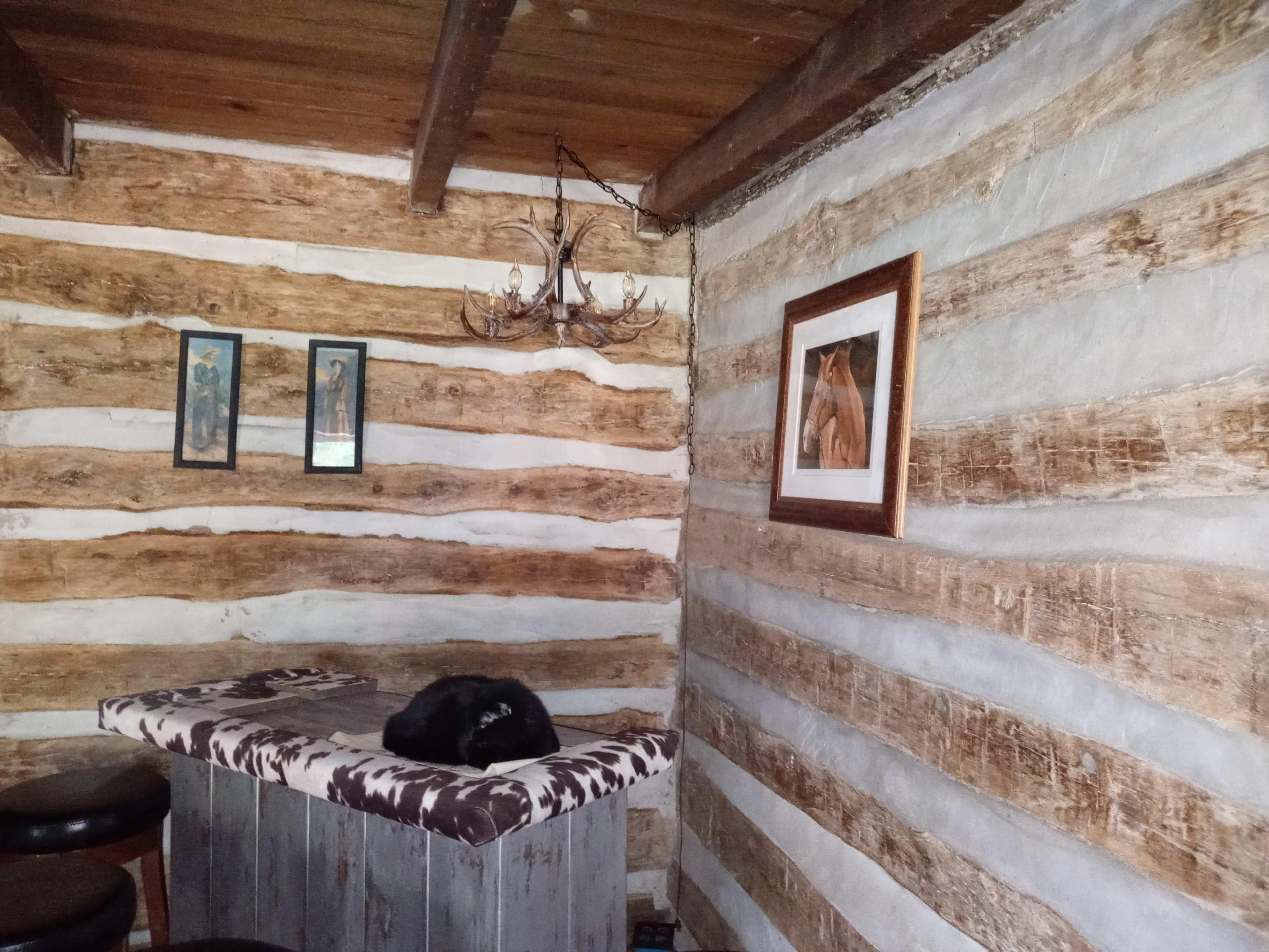 The image shows a rustic interior with exposed log walls, a small table covered in a cowhide pattern, a black cat resting on the table, and framed artwork on the walls.
