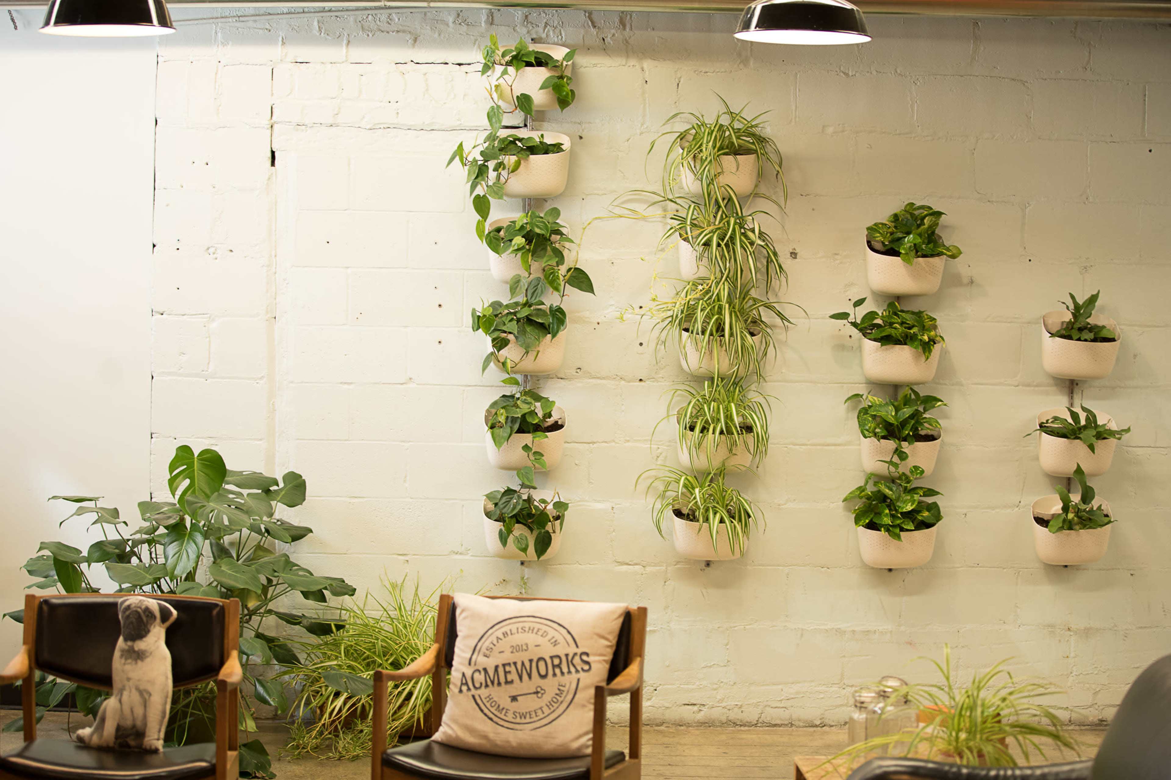 The image features a wall with various green plants in white wall-mounted planters, accompanied by a chair with a pillow and a small potted plant nearby.