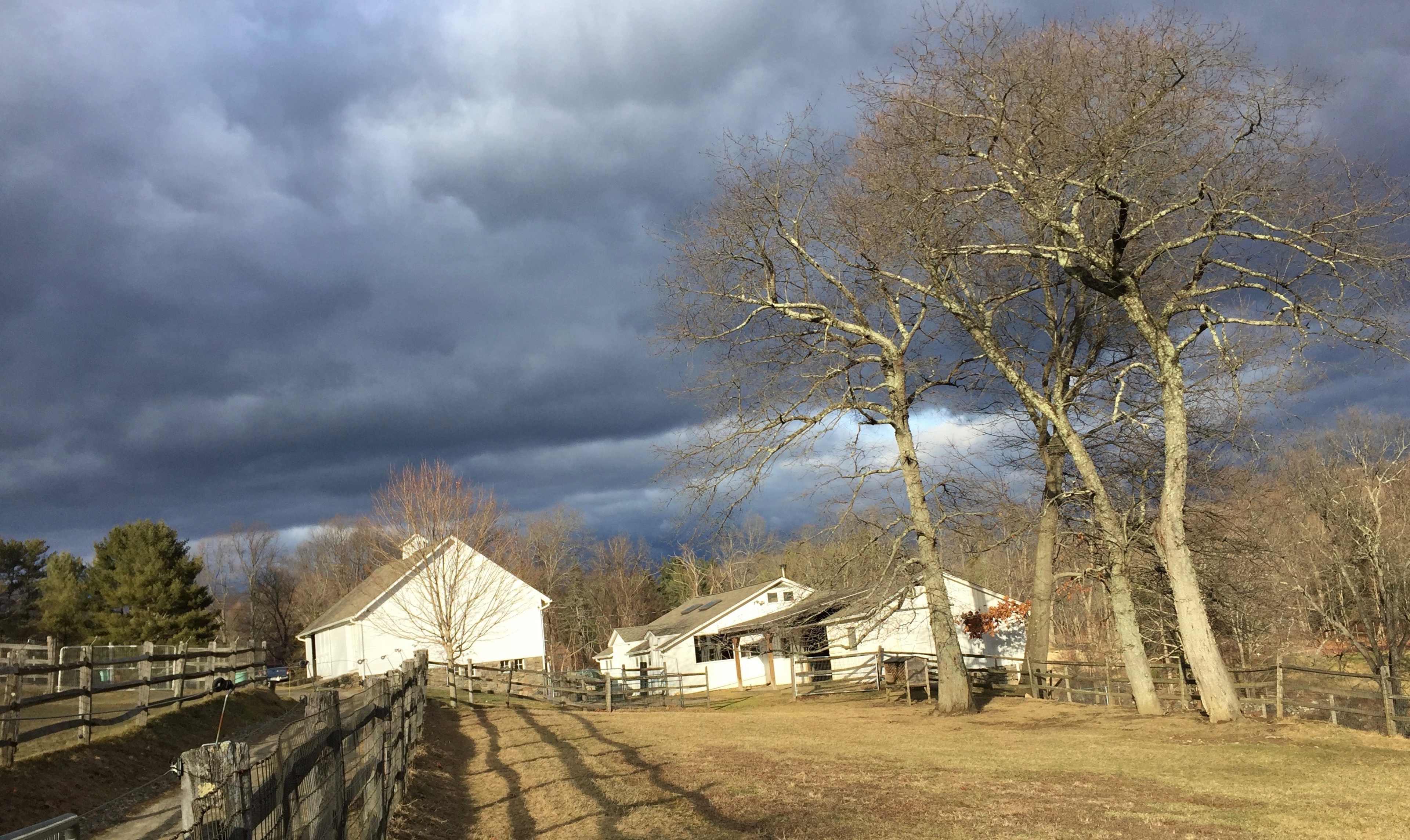 A dirt path lined with a wooden fence leads past bare trees and white buildings under a stormy sky.