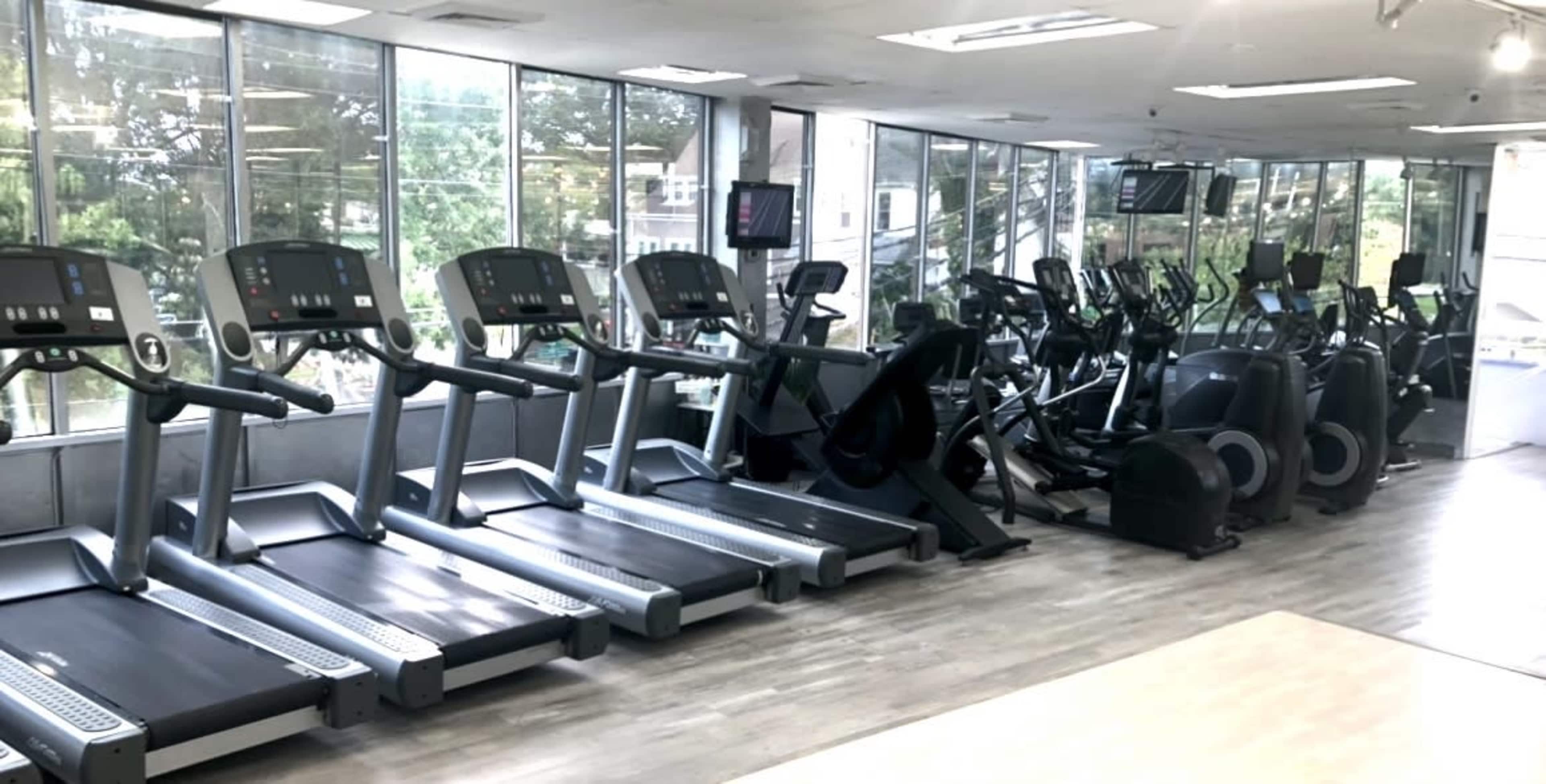 A row of treadmills and various exercise machines in a well-lit gym with large windows.