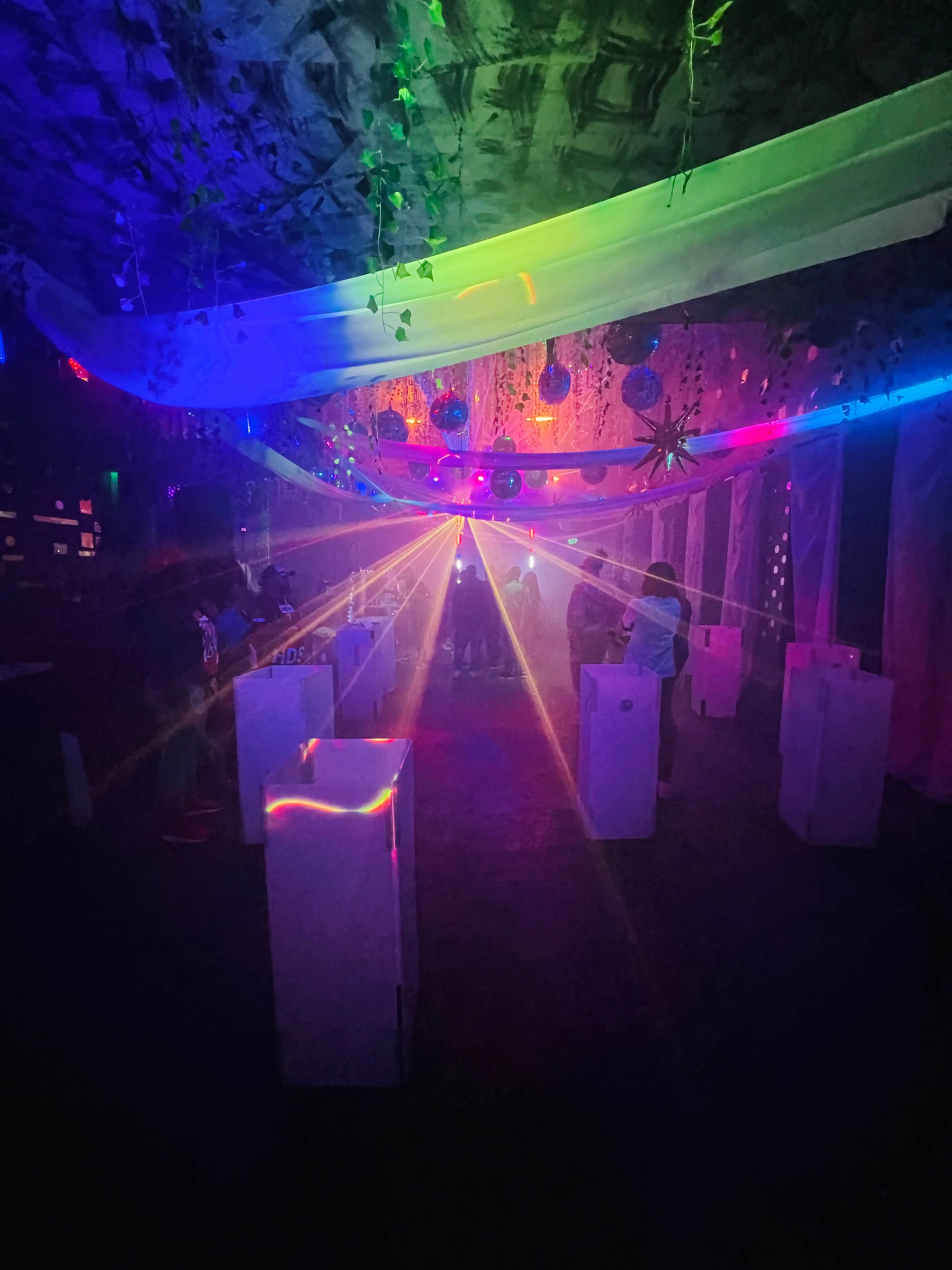 BROOKLYN BURJ -  JUNGLE THEME ,DREAMY EVENT AND PERFORMANCE VENUE Image in Crown Heights, Brooklyn, NY