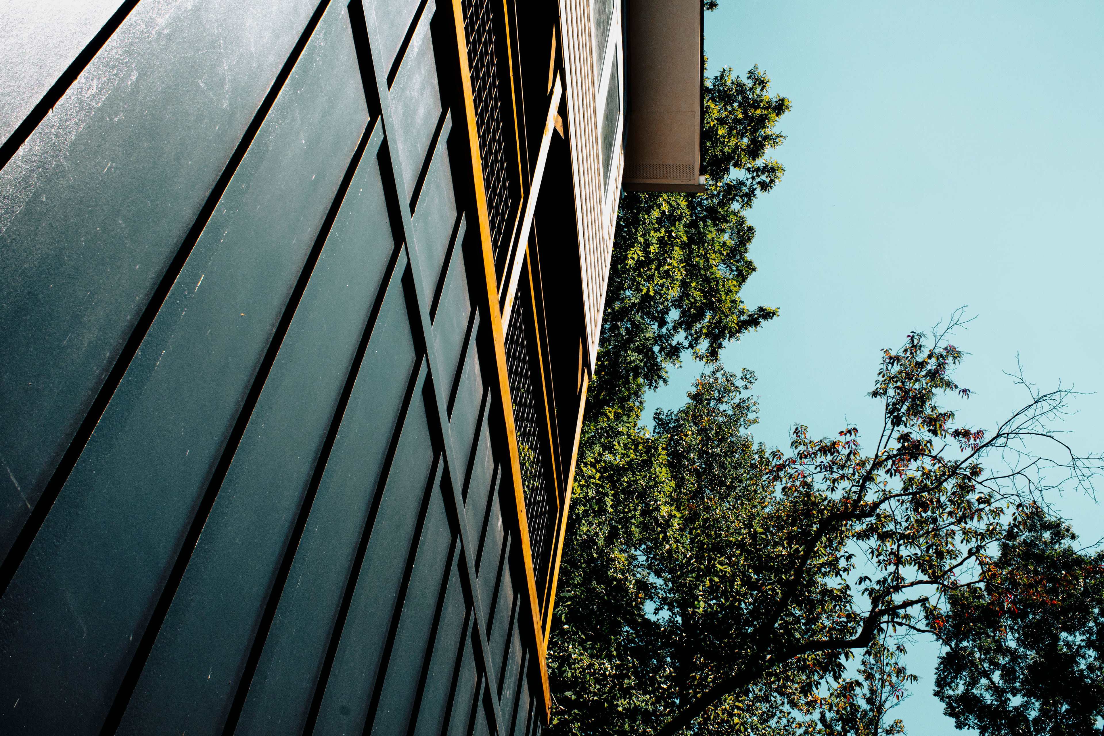 The image shows a building wall with a diagonal panel pattern, surrounded by trees against a clear blue sky.
