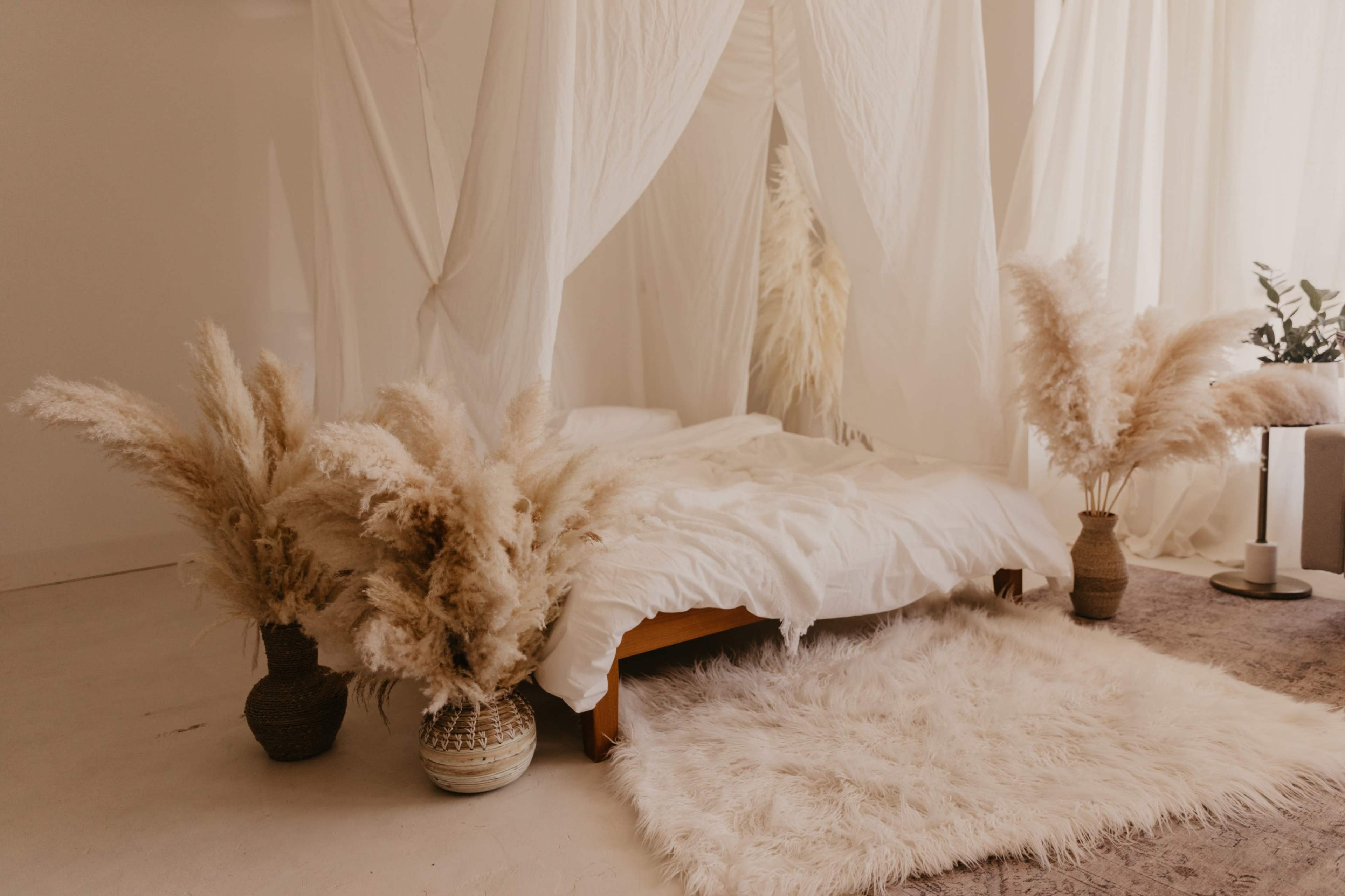 A minimalist bedroom features a low bed draped with sheer fabric, surrounded by potted pampas grass and a plush area rug.