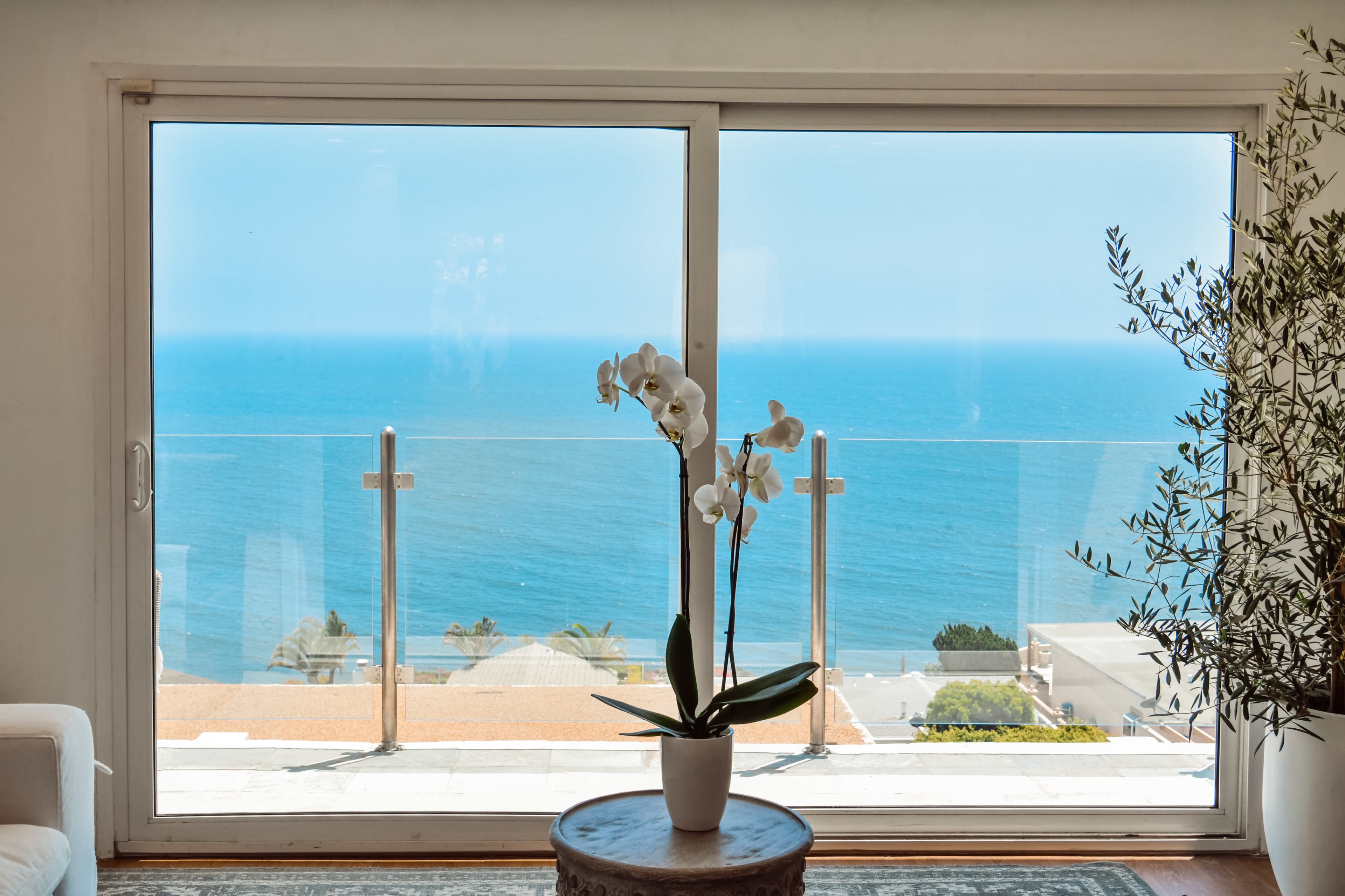A potted orchid stands in front of a large glass window overlooking the ocean.