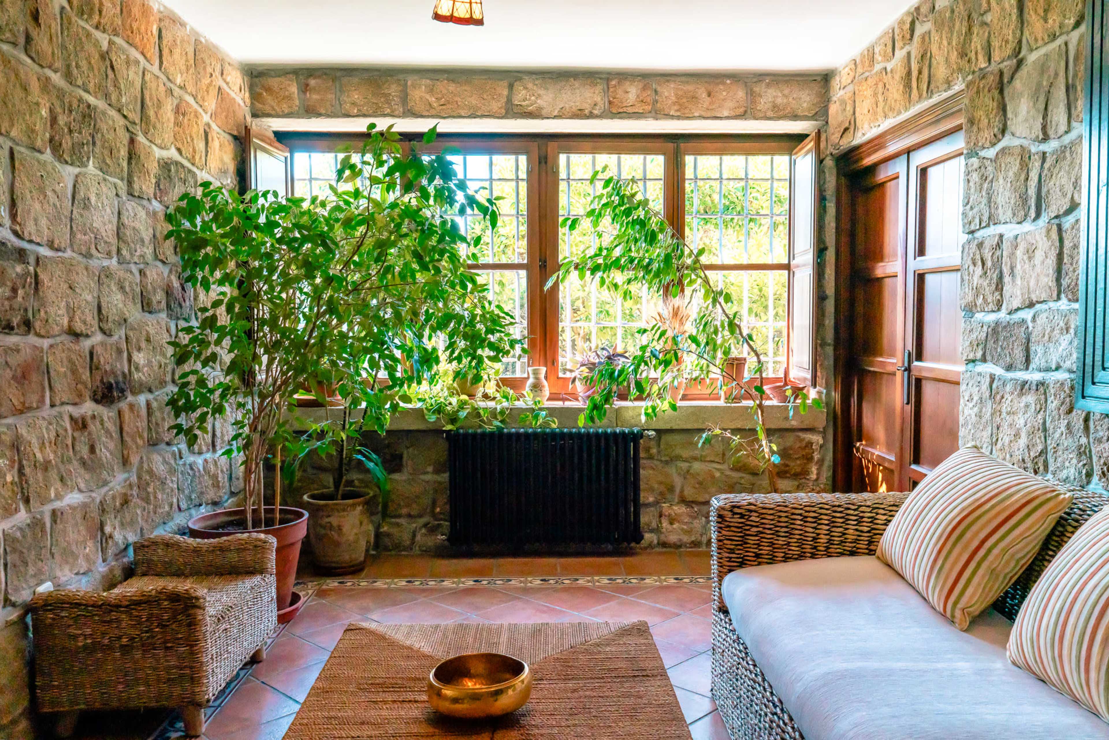 A sunlit room features stone walls, a cozy seating area with striped cushions, and several potted plants near large windows.